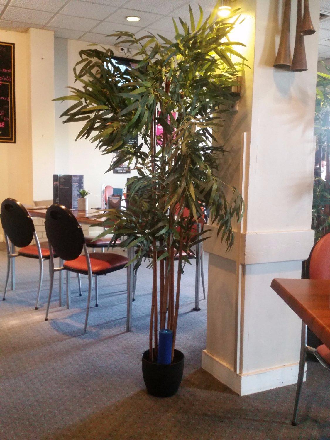 Photo by FelicityO21