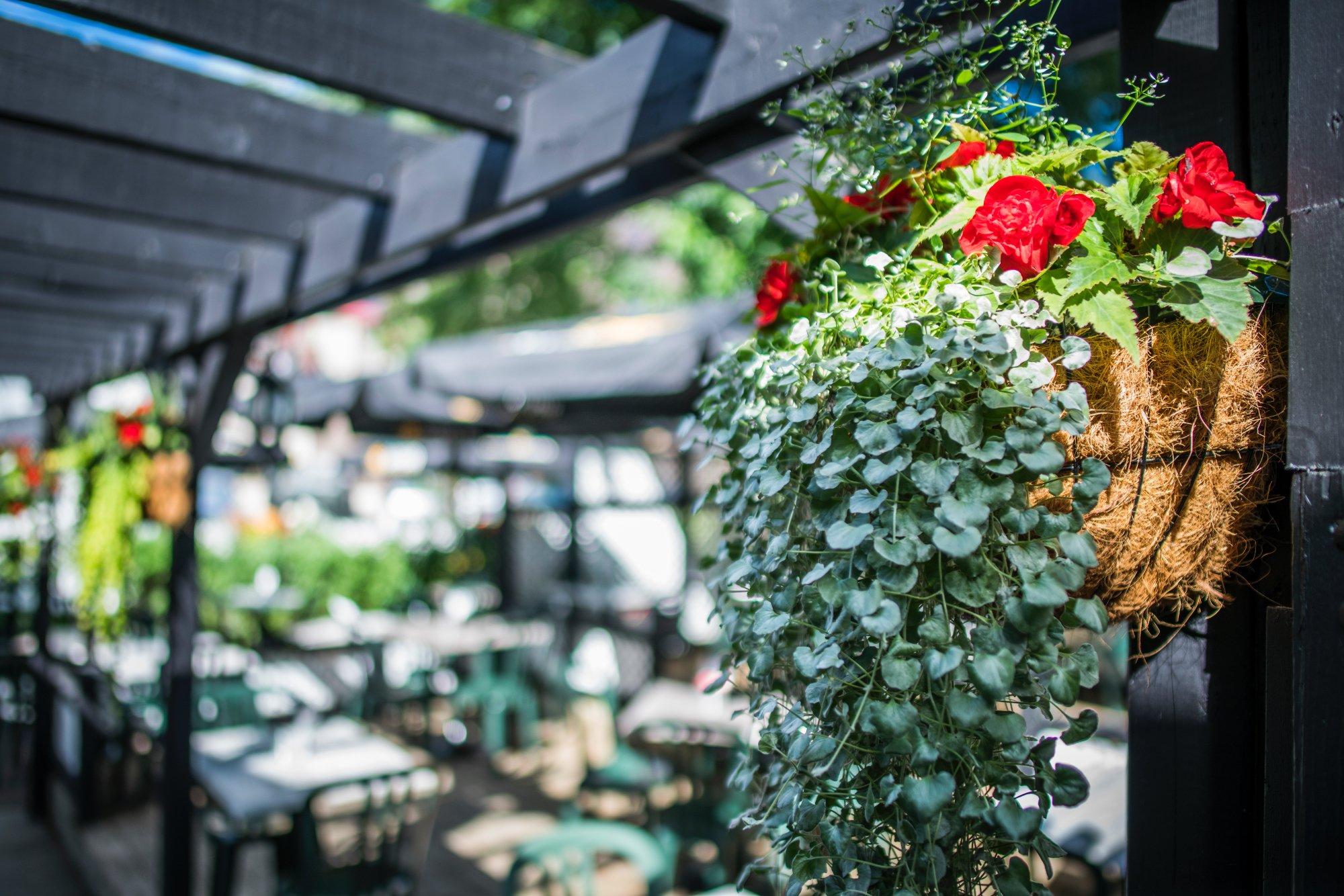 Restaurant Manoir du Spaghetti