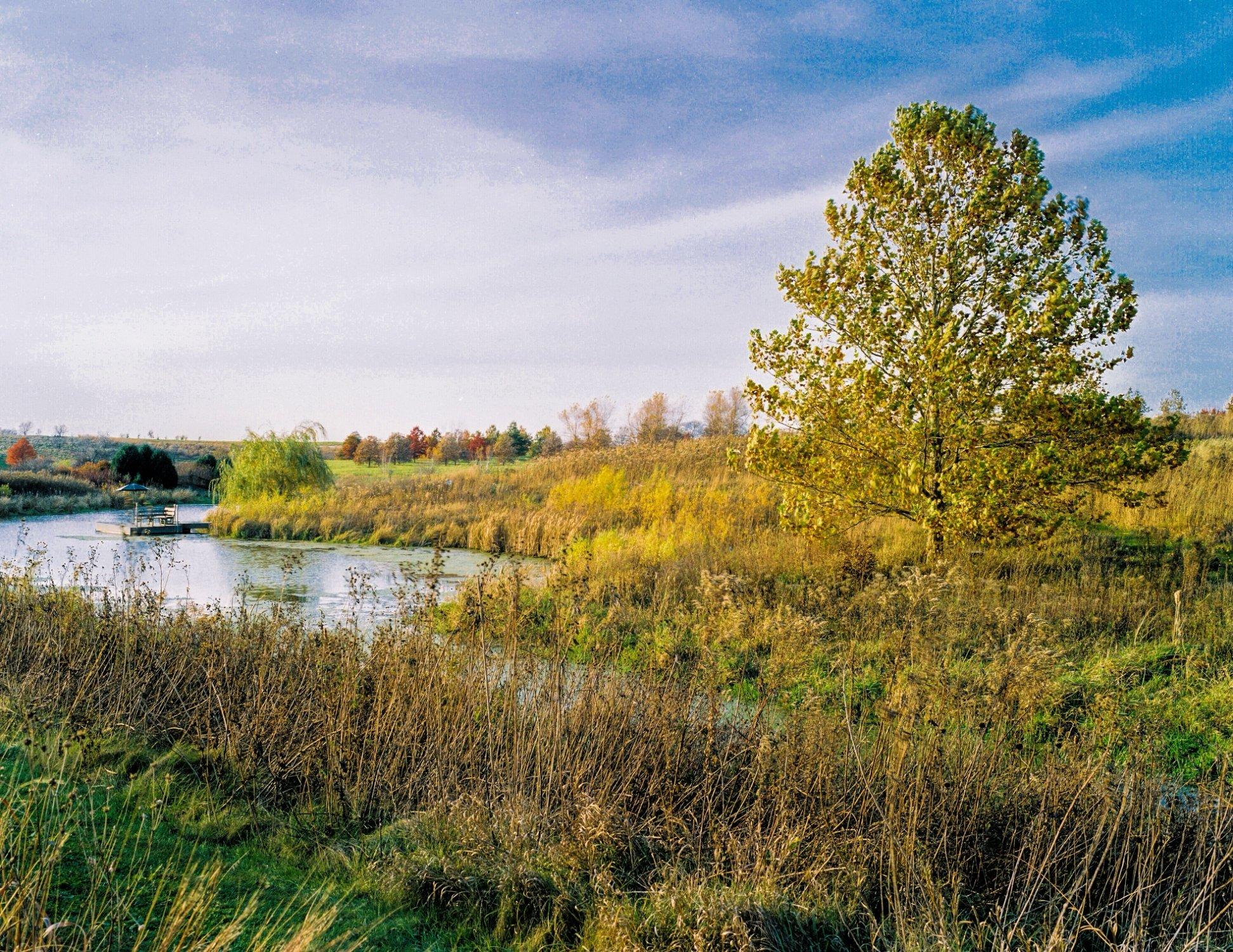 The Brenton Arboretum