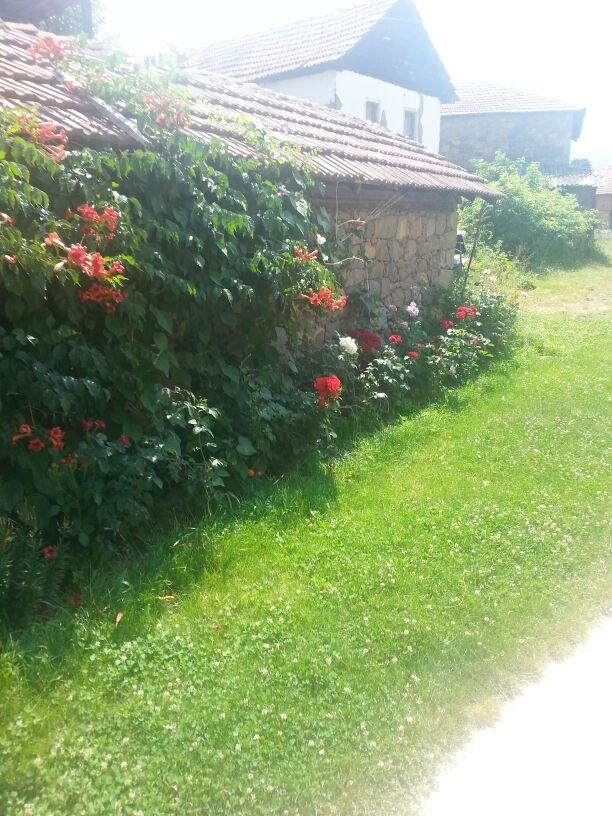 Fernvale Country Markets