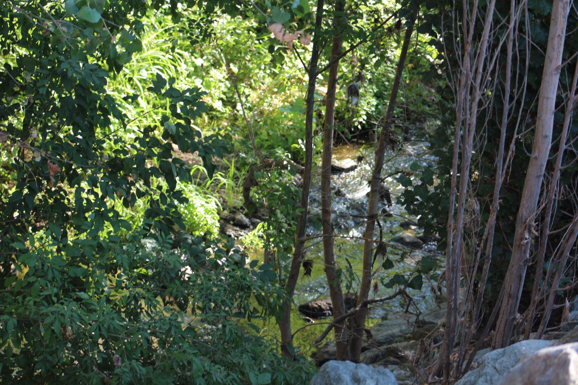 Alamo Creek Bike Trail