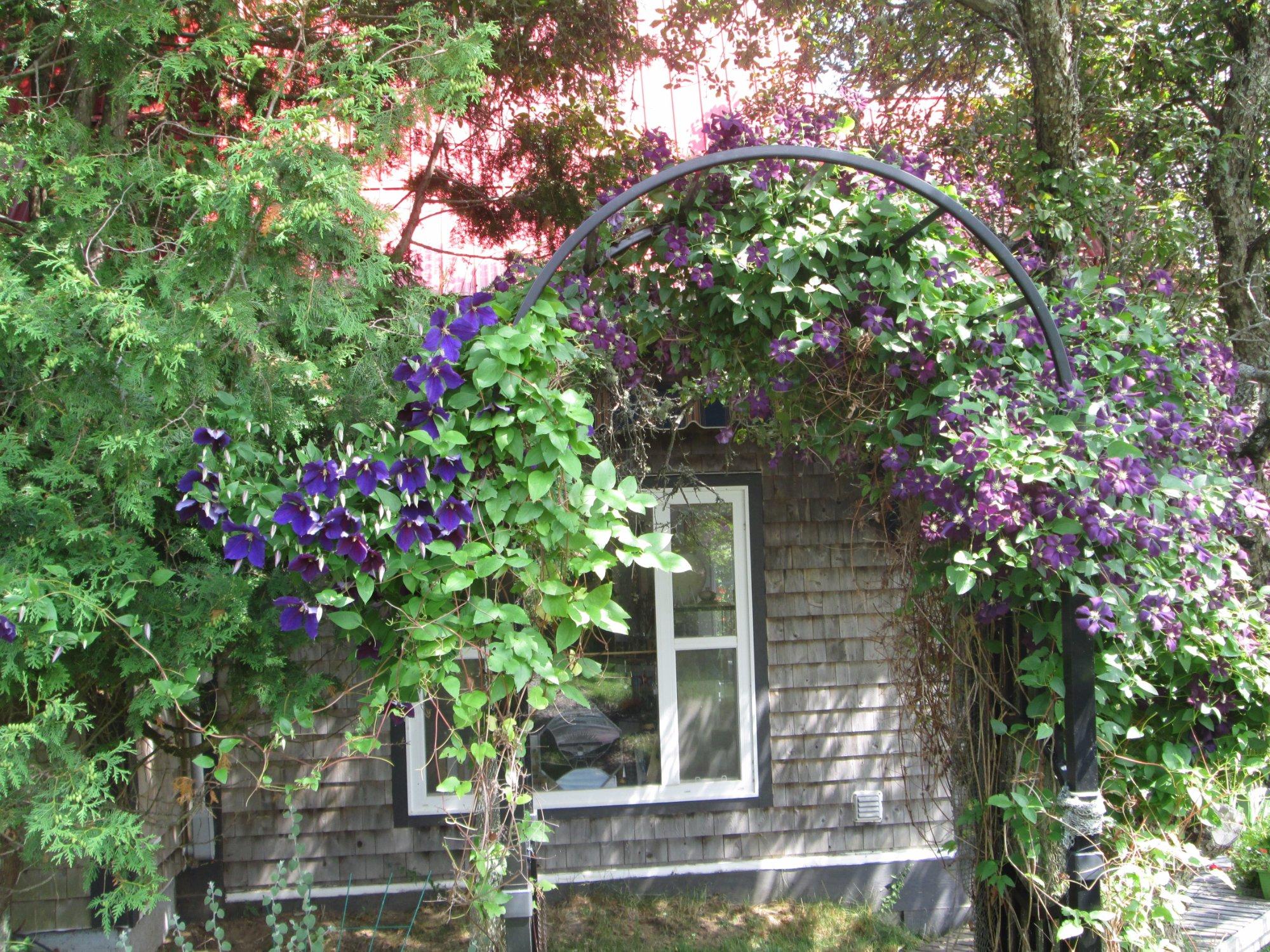 Fireball Gallery & Studio