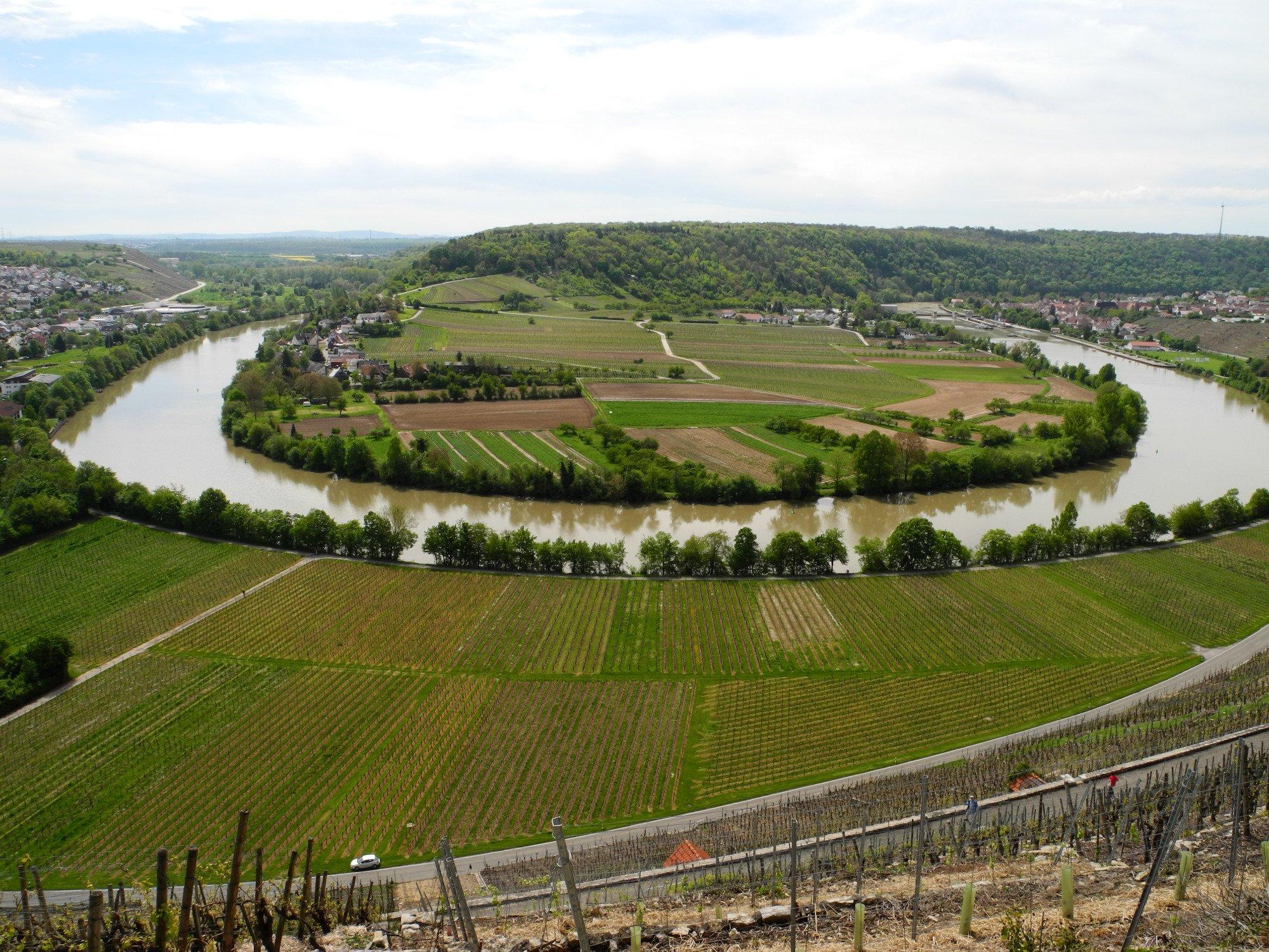 Weinort Mundelsheim am Neckar