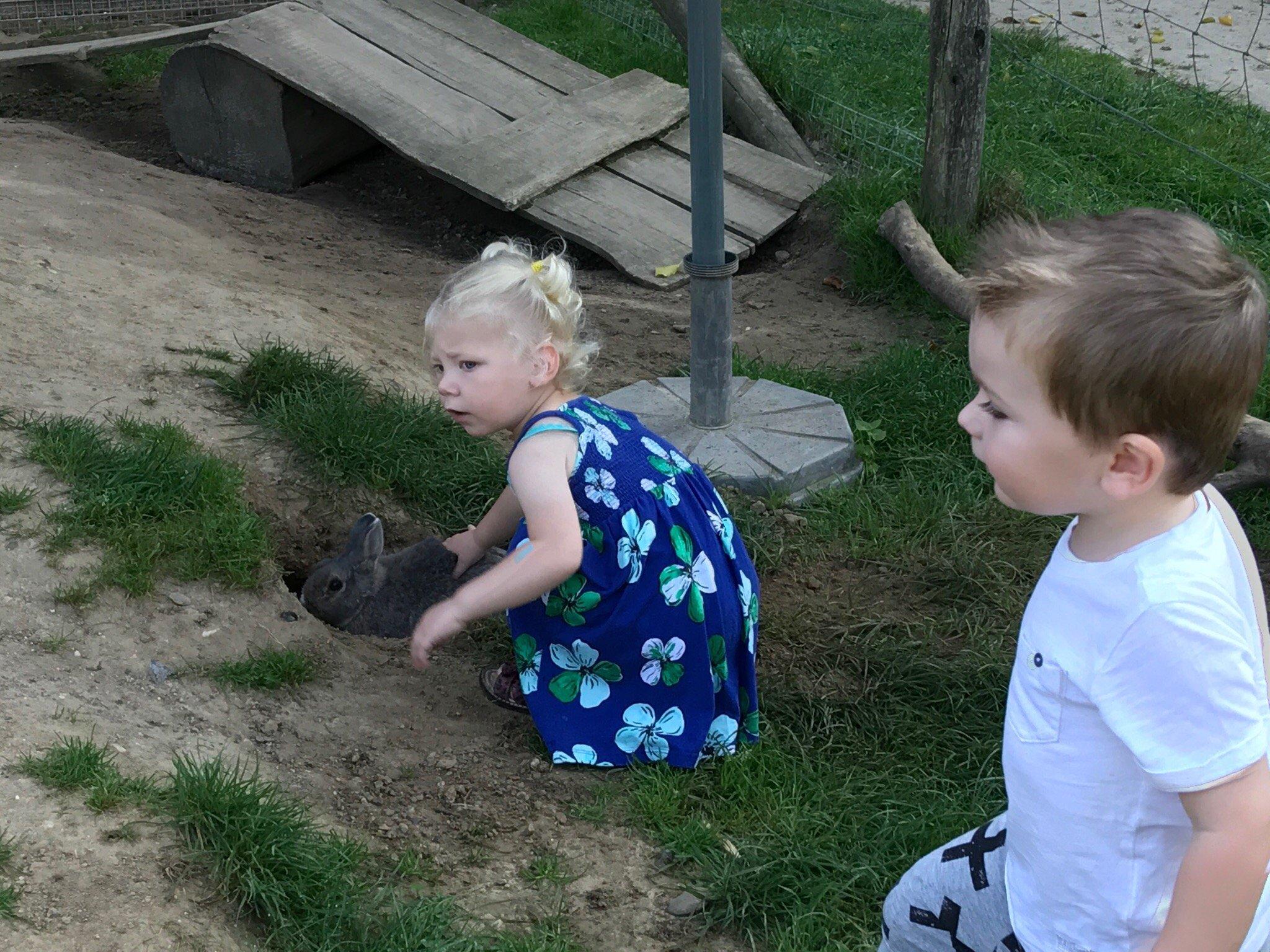 Streekboerderij Daniken