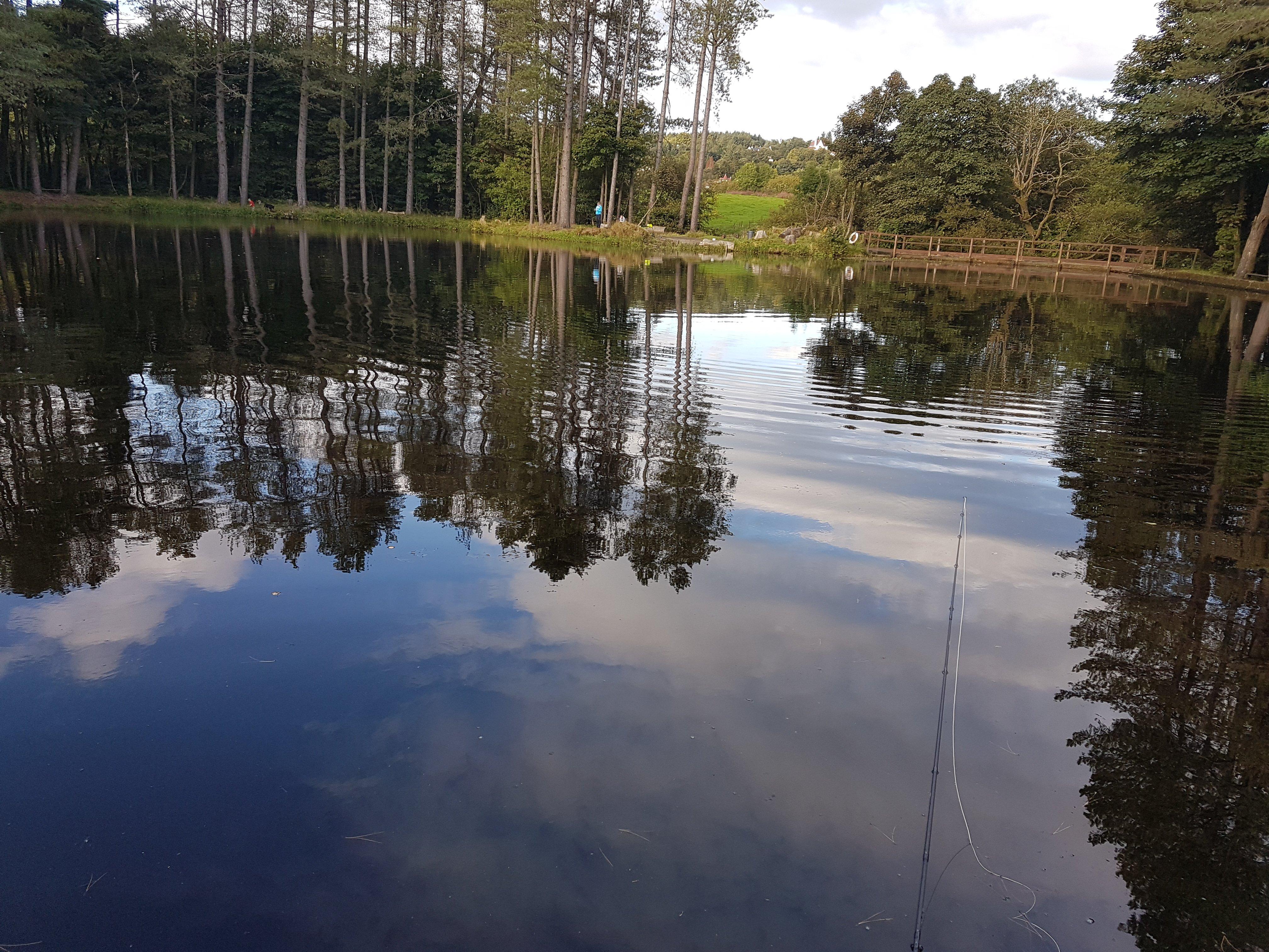 Lawfield Trout Fishery