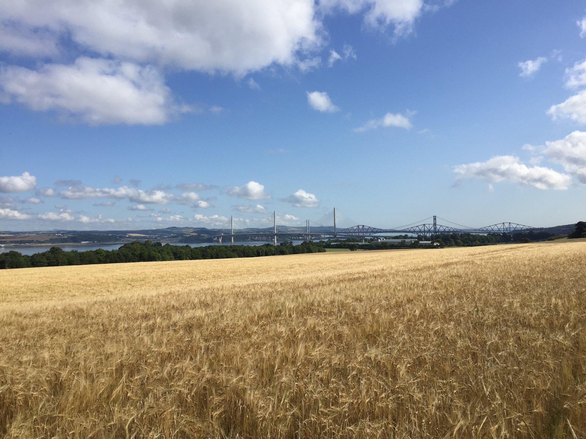 View Point, Forth Bridges