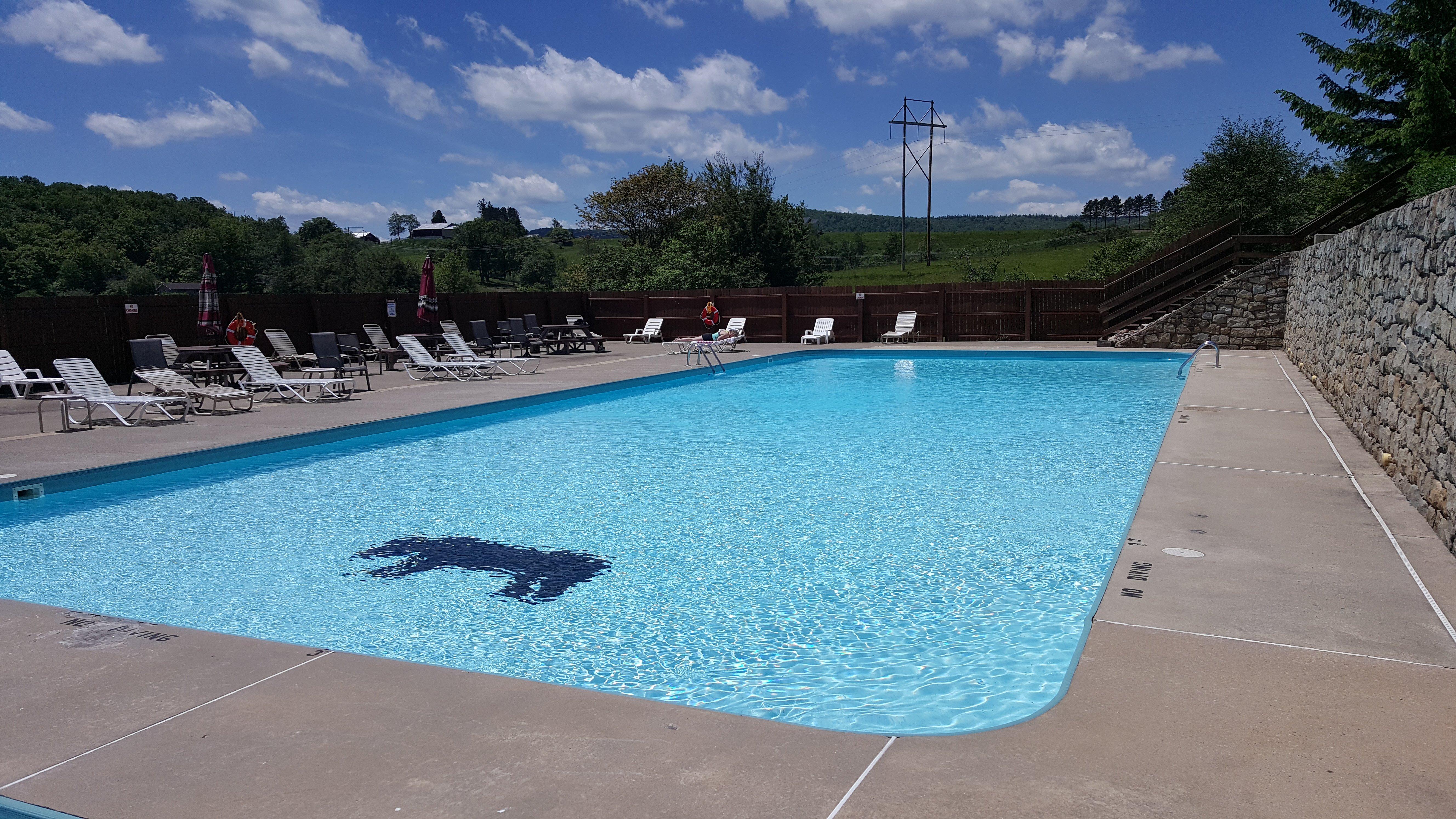 Black Bear Resort