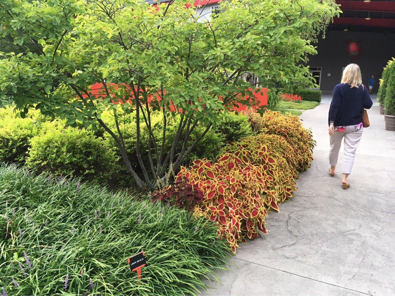 Photo by I9551CVpamelam