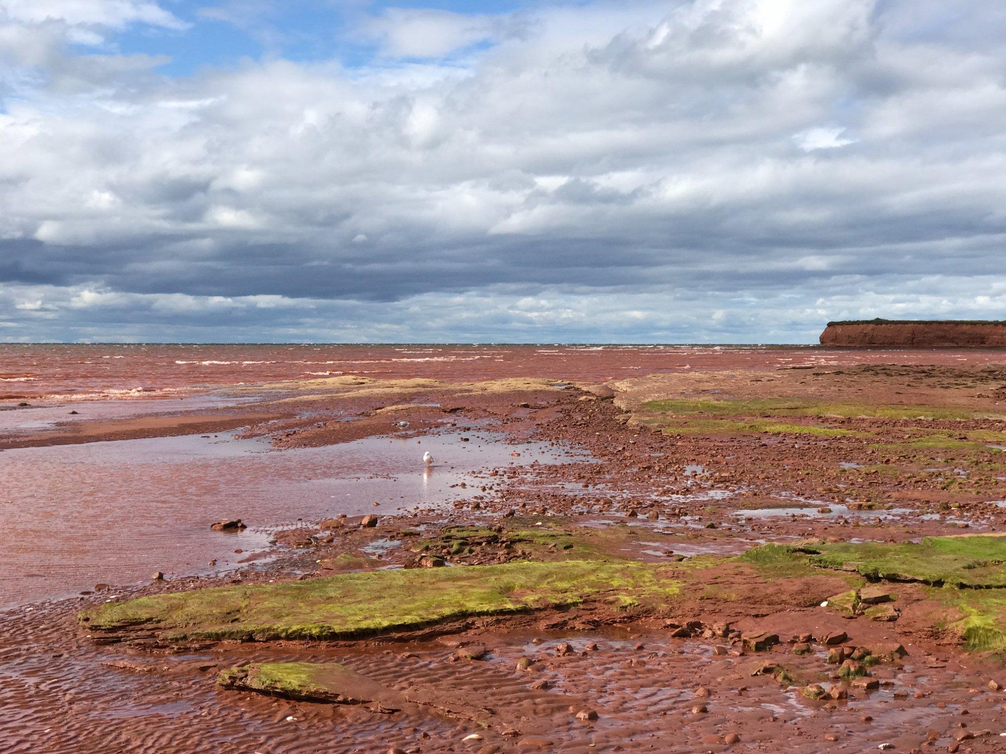 Argyle Shore Provincial Park