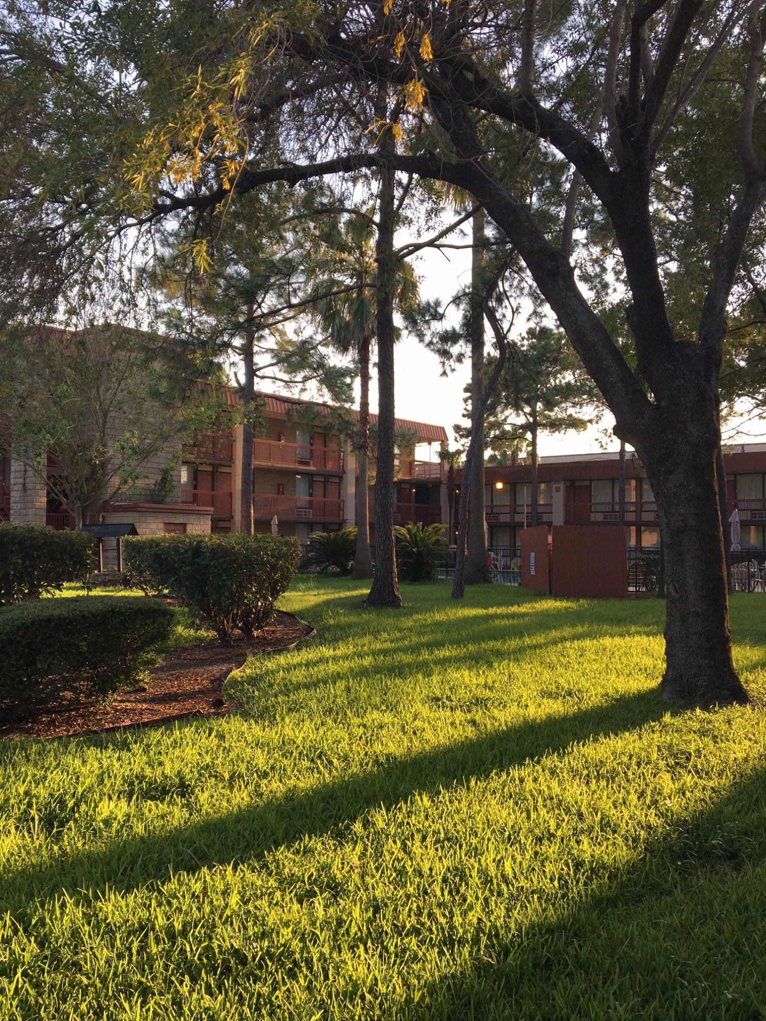 Photo by chicoharlan