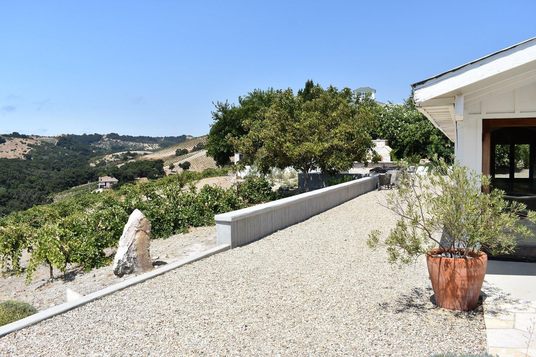 Minassian-Young Vineyards