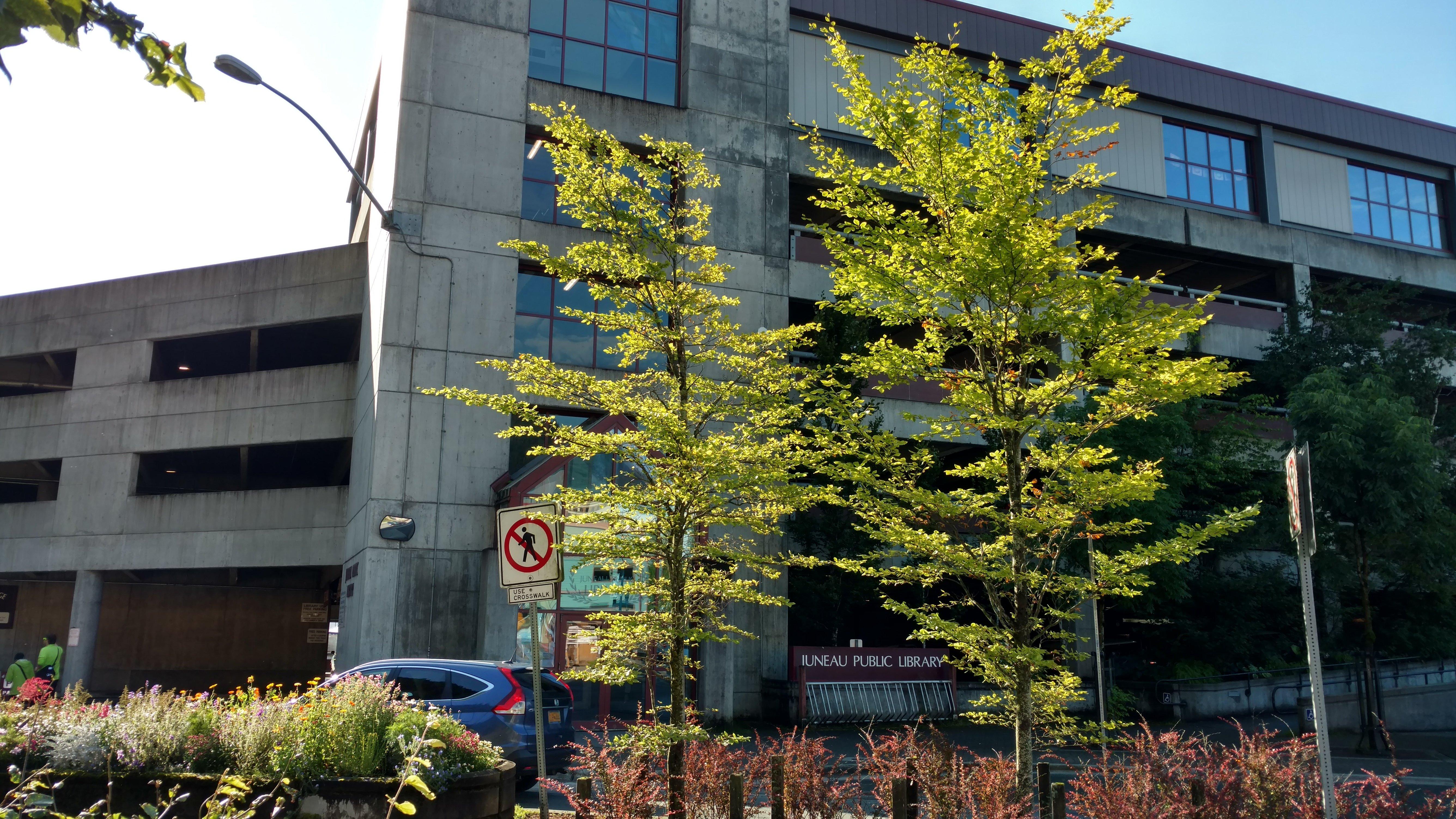 Photo by grillorlanz