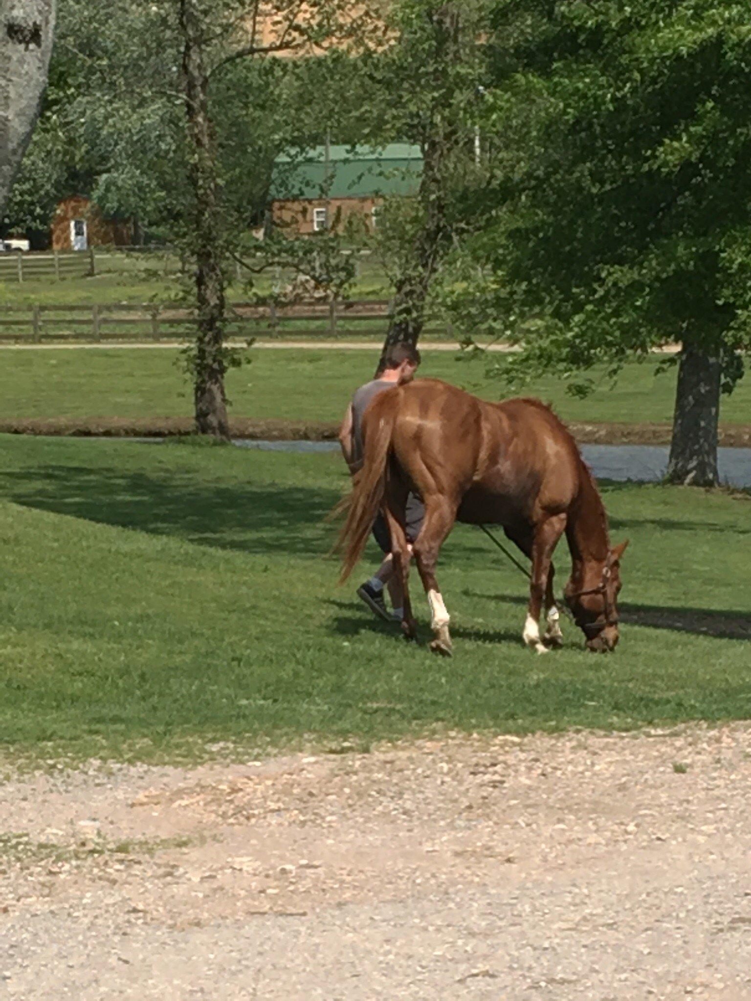 Photo by Crookedwillow