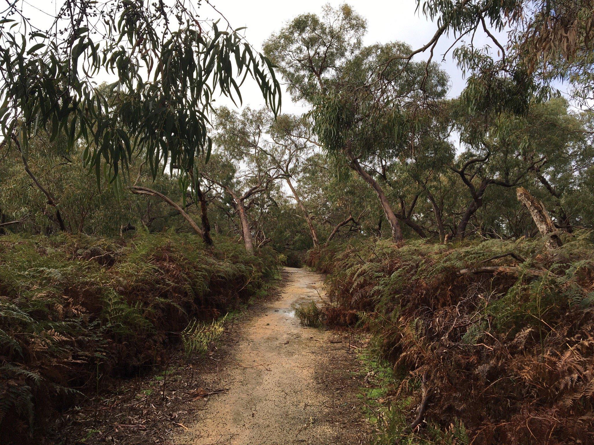 Woodlot Lane Nature Reserve