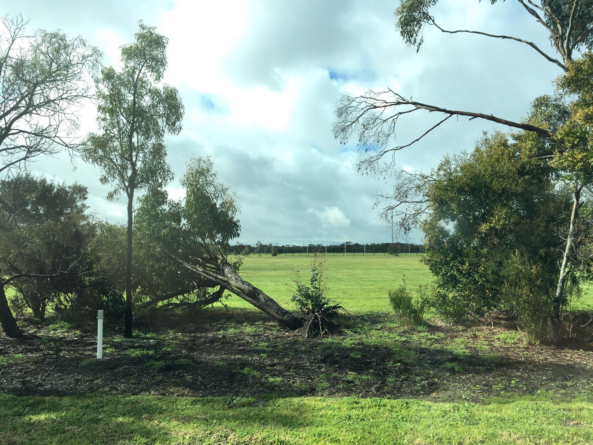 Rutter Park Memorial Reserve