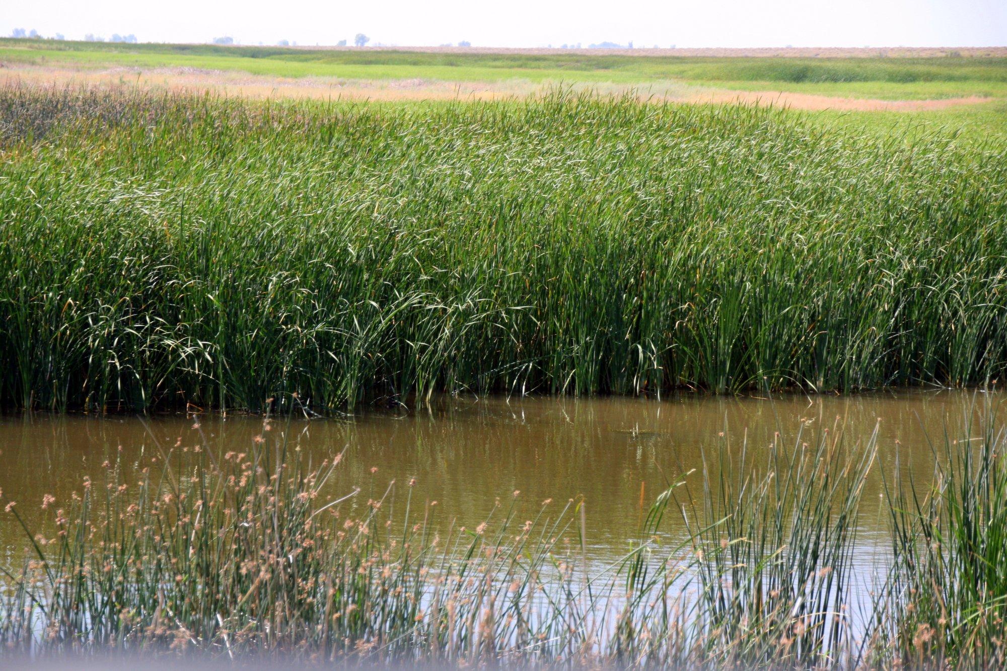 Stillwater National Wildlife Refuge