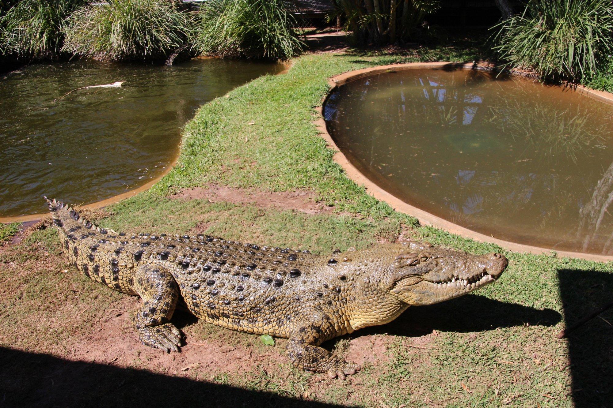 Snakes Downunder Reptile Park