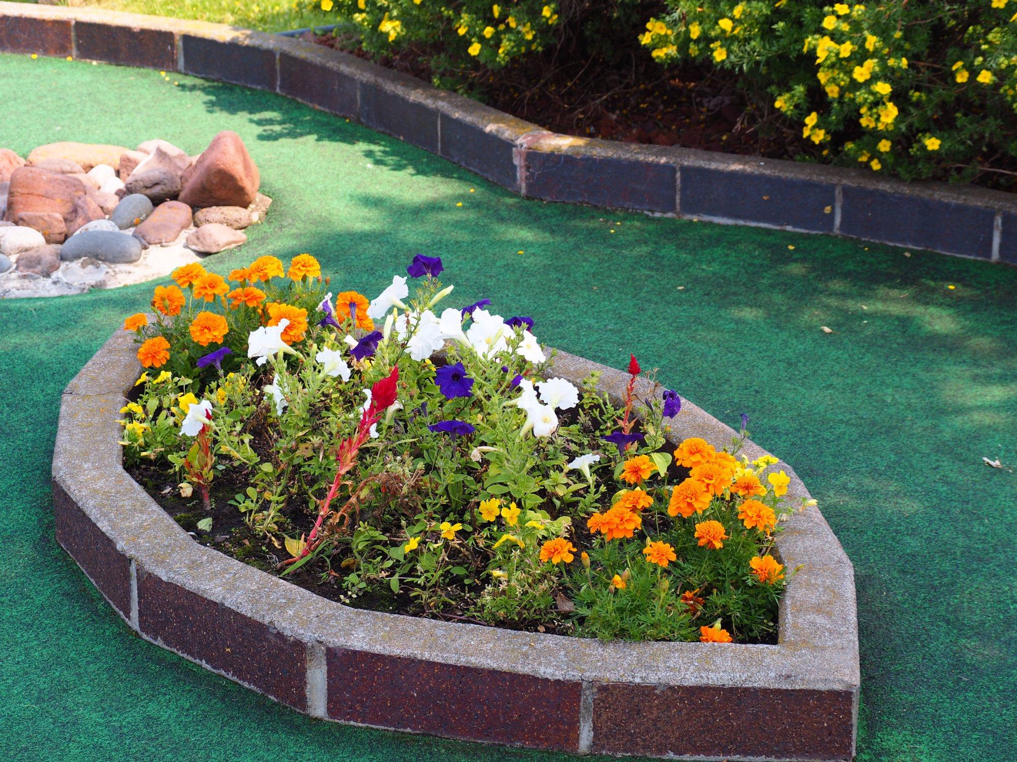 Capt'n J's Miniature Golf