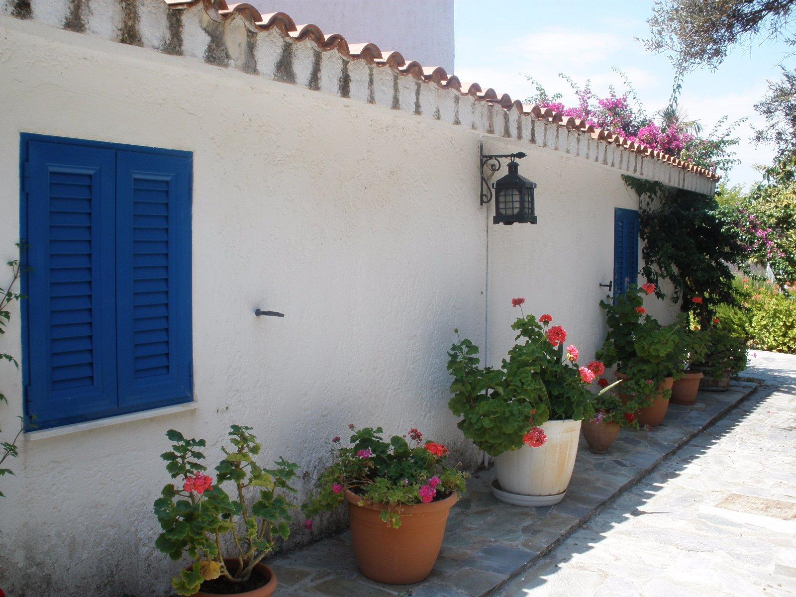 My Big, Fat, Greek Cooking Class! with Chef Elaine Pitenis