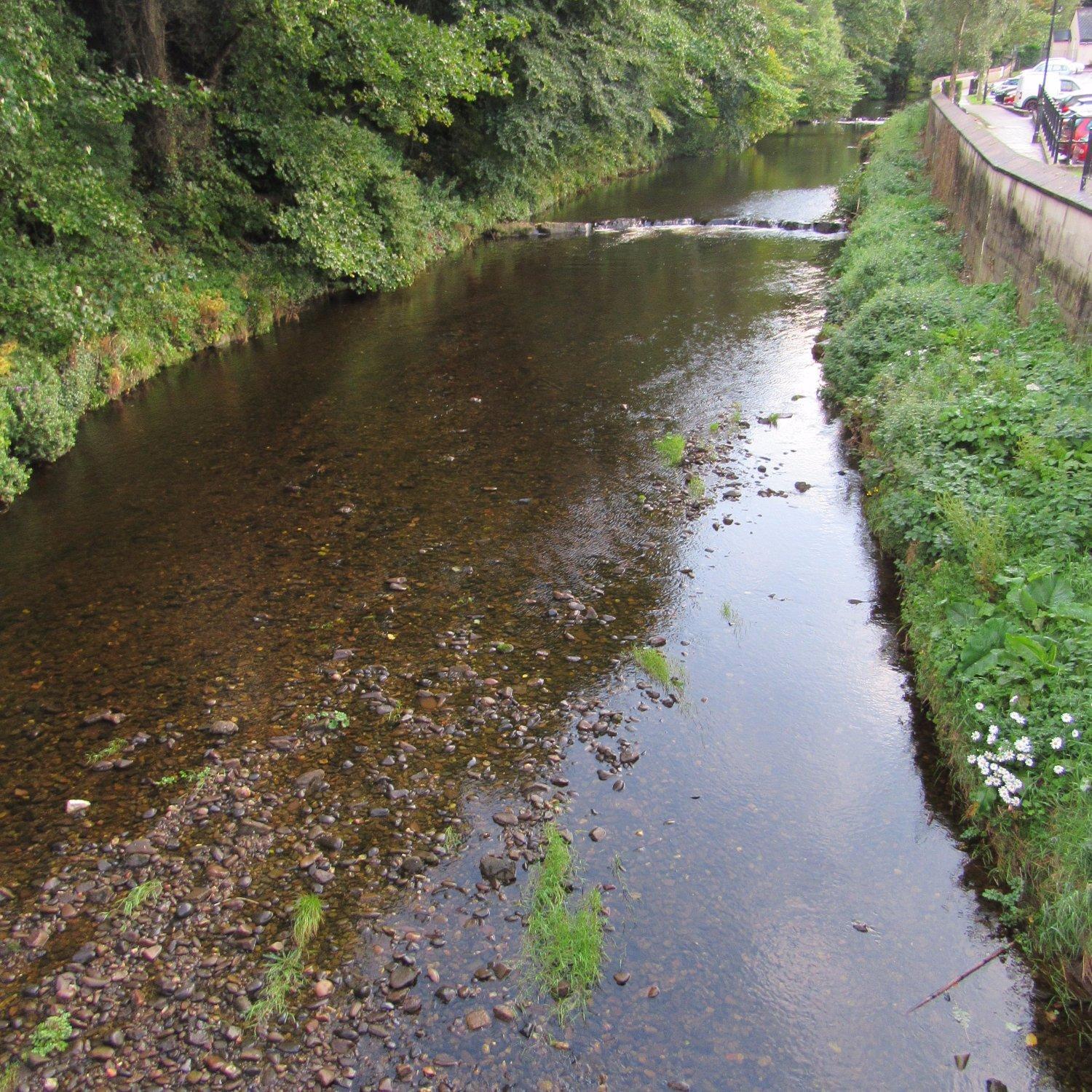 The Riverside Bed and Breakfast