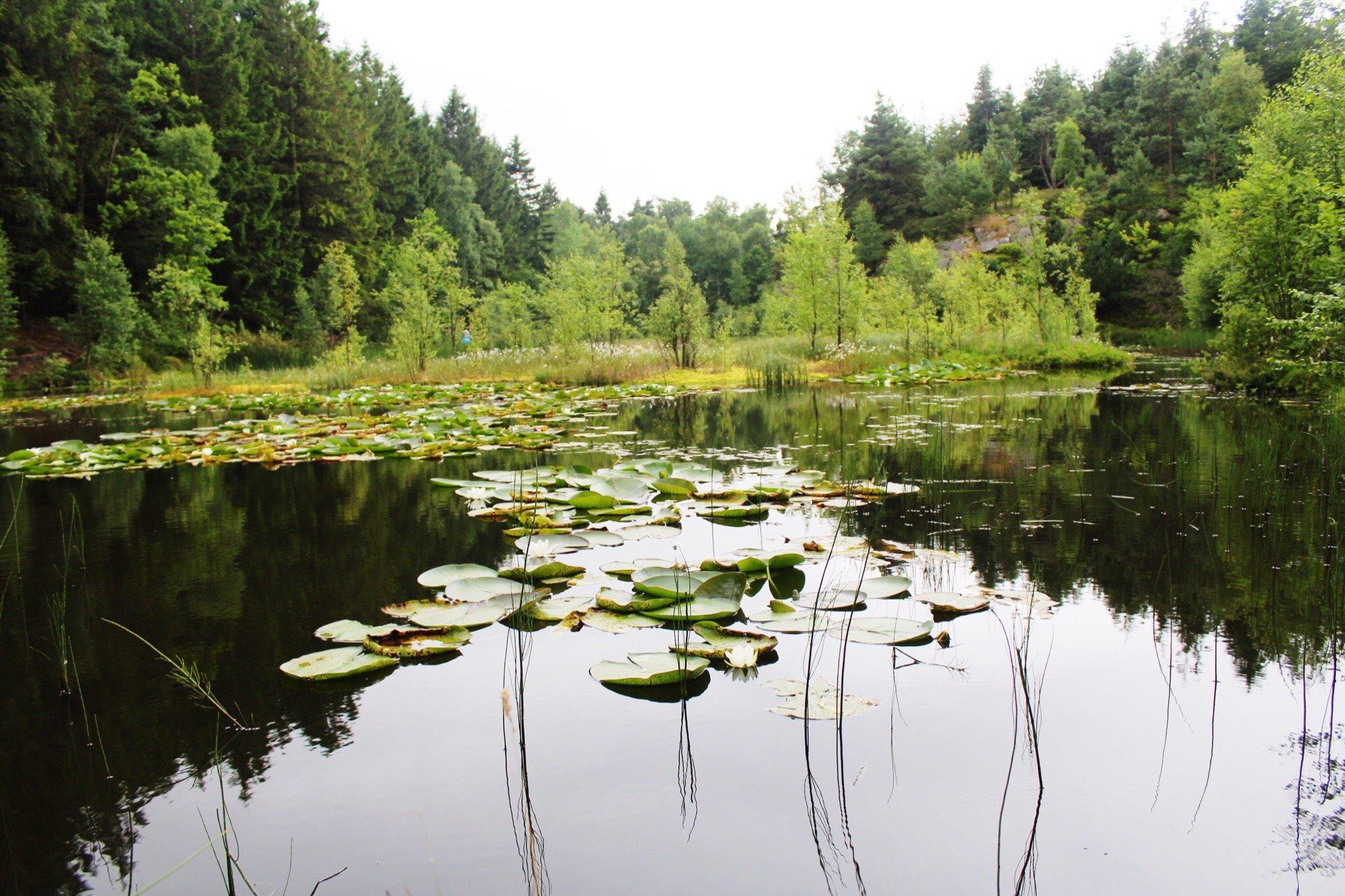 Paradisbakkerne Bornholm