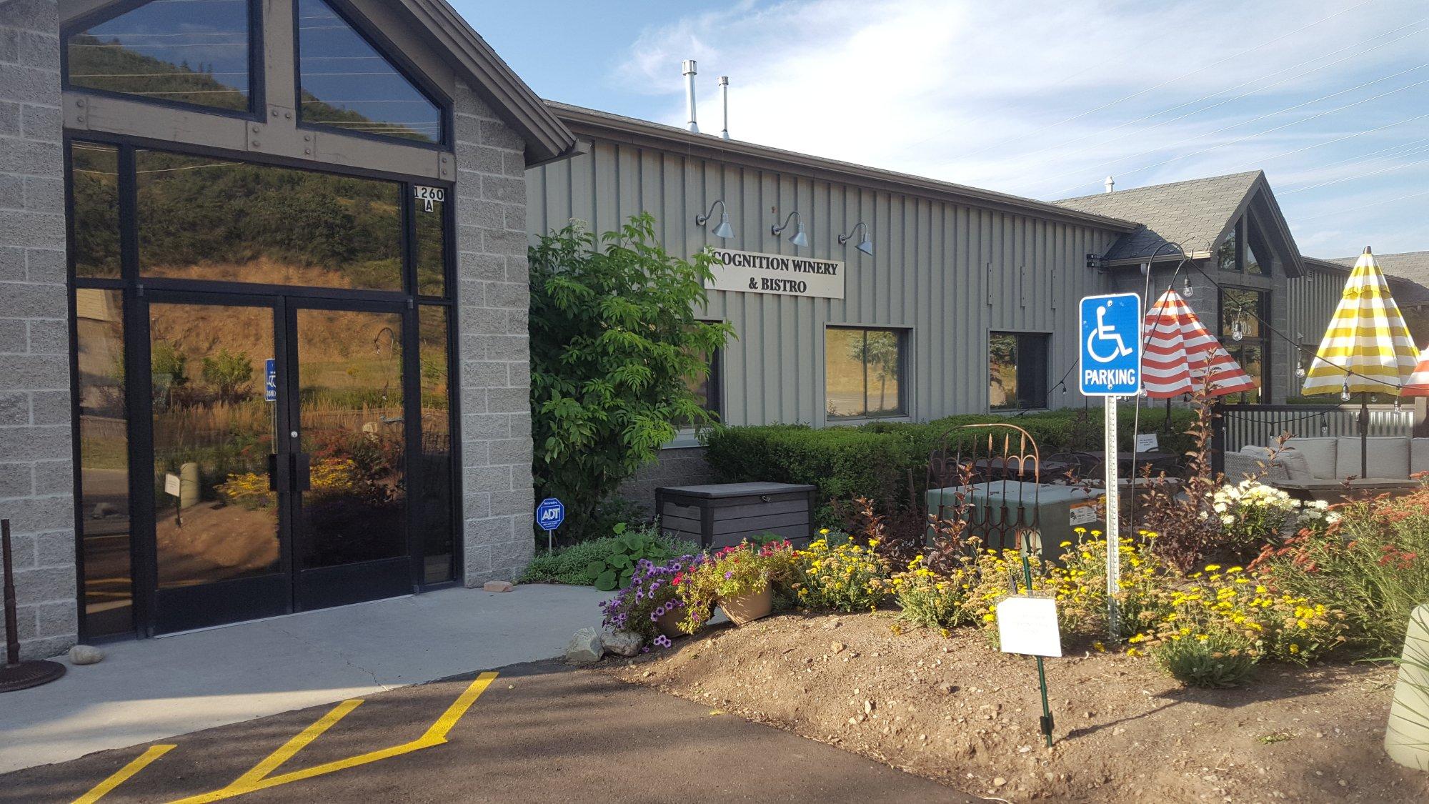Cognition Winery