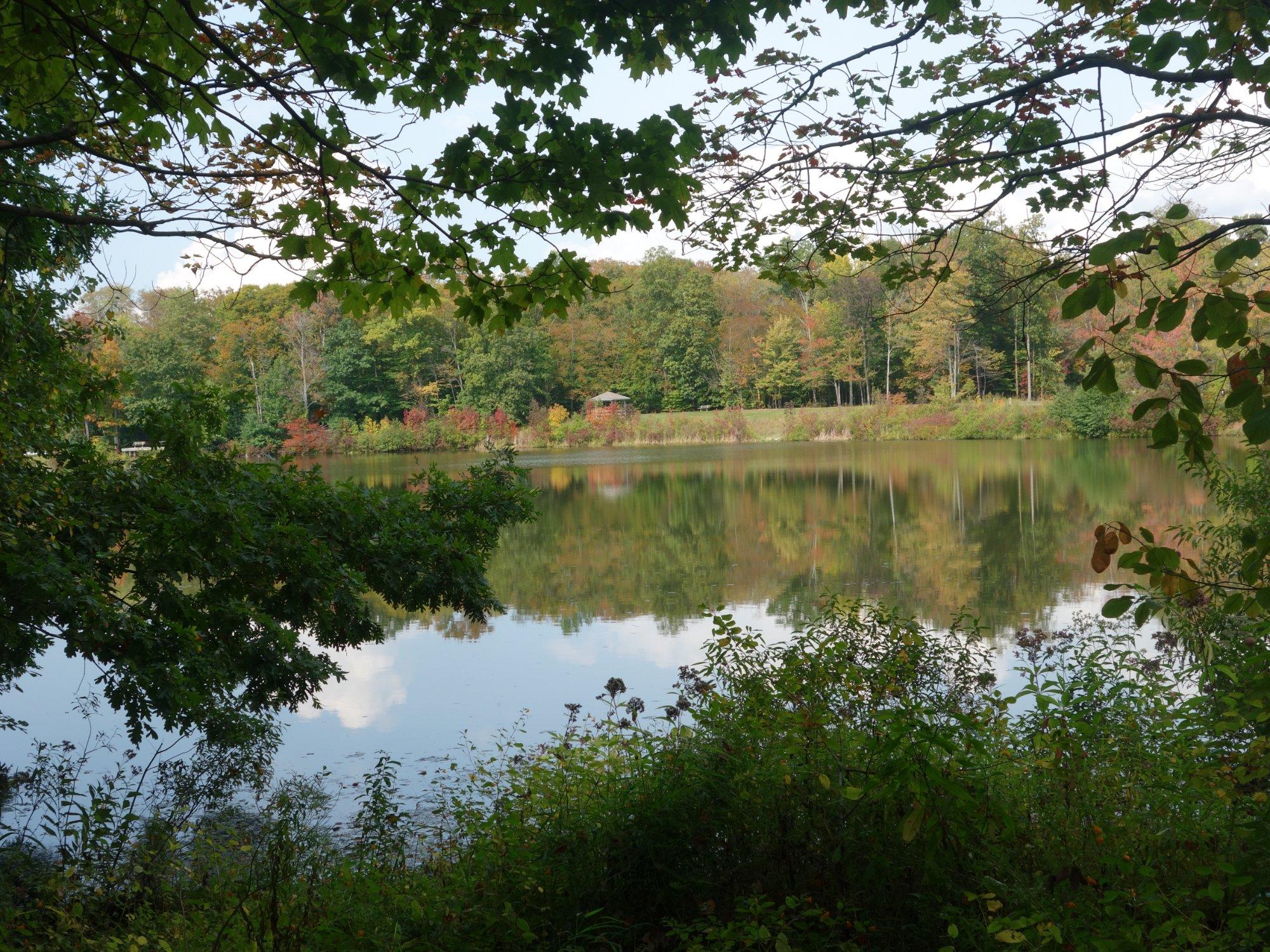 Beartown Lakes Reservation