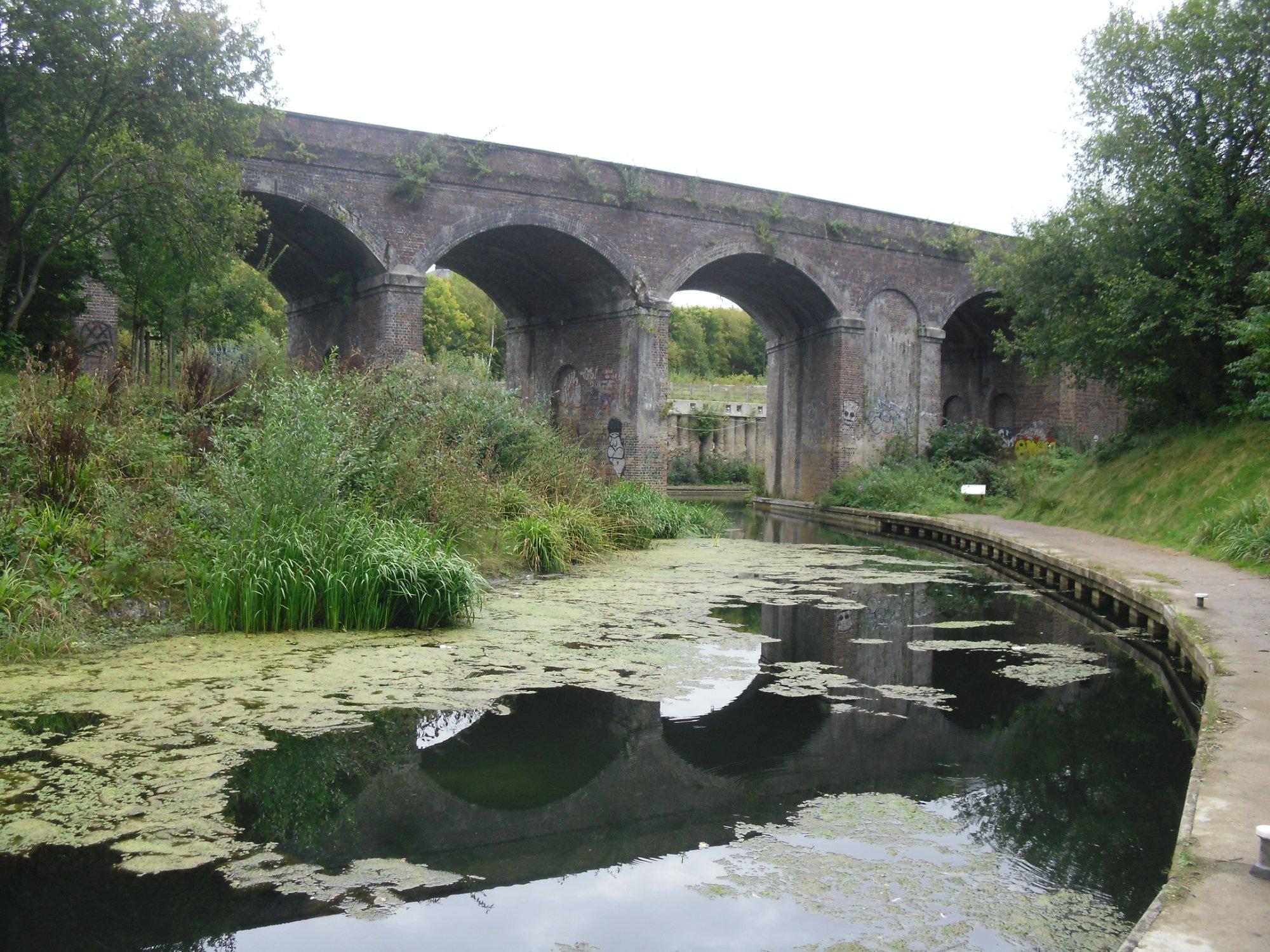 Dr Newtons Way Bridge
