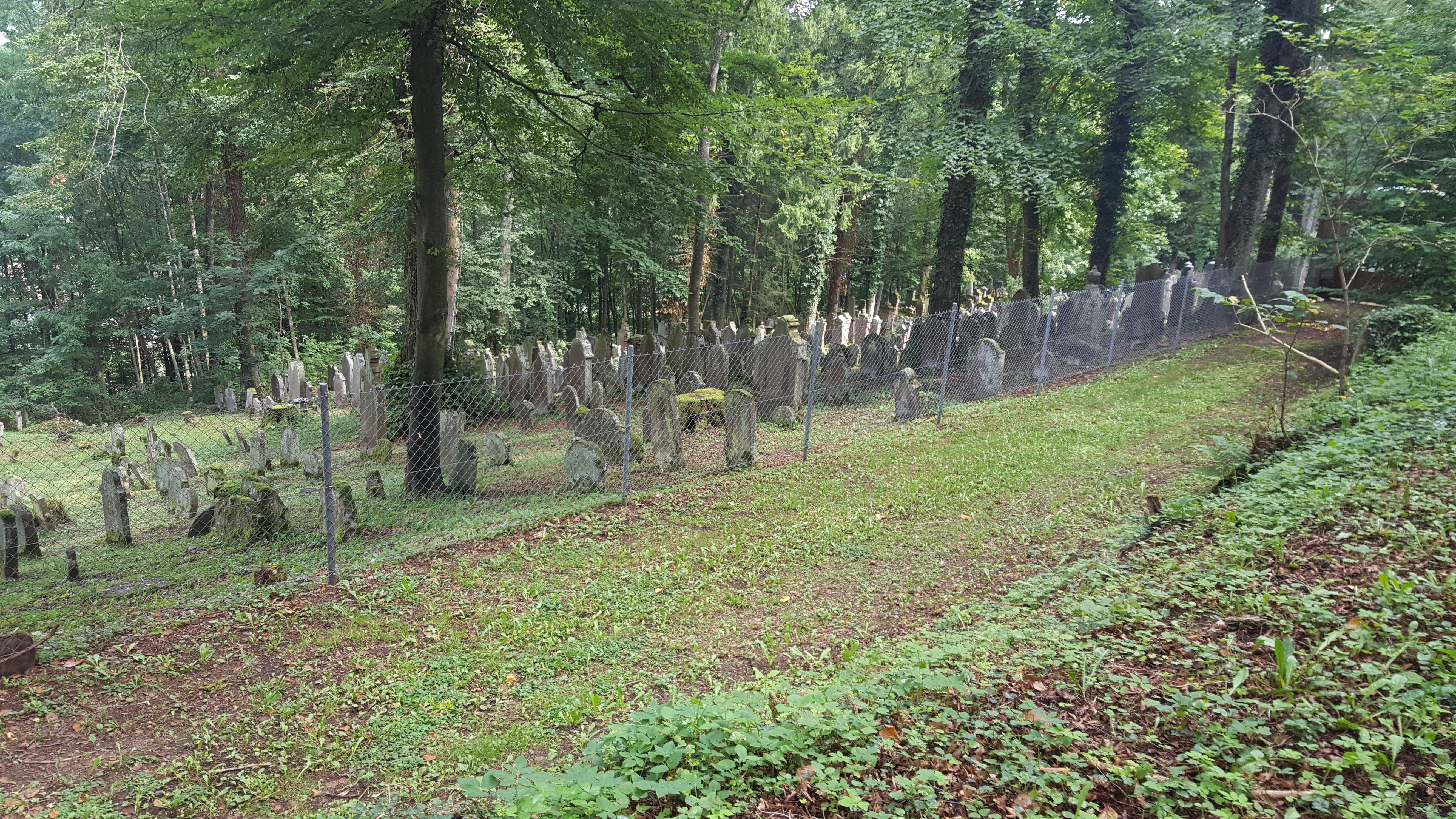 Jüdischer Friedhof Rexingen