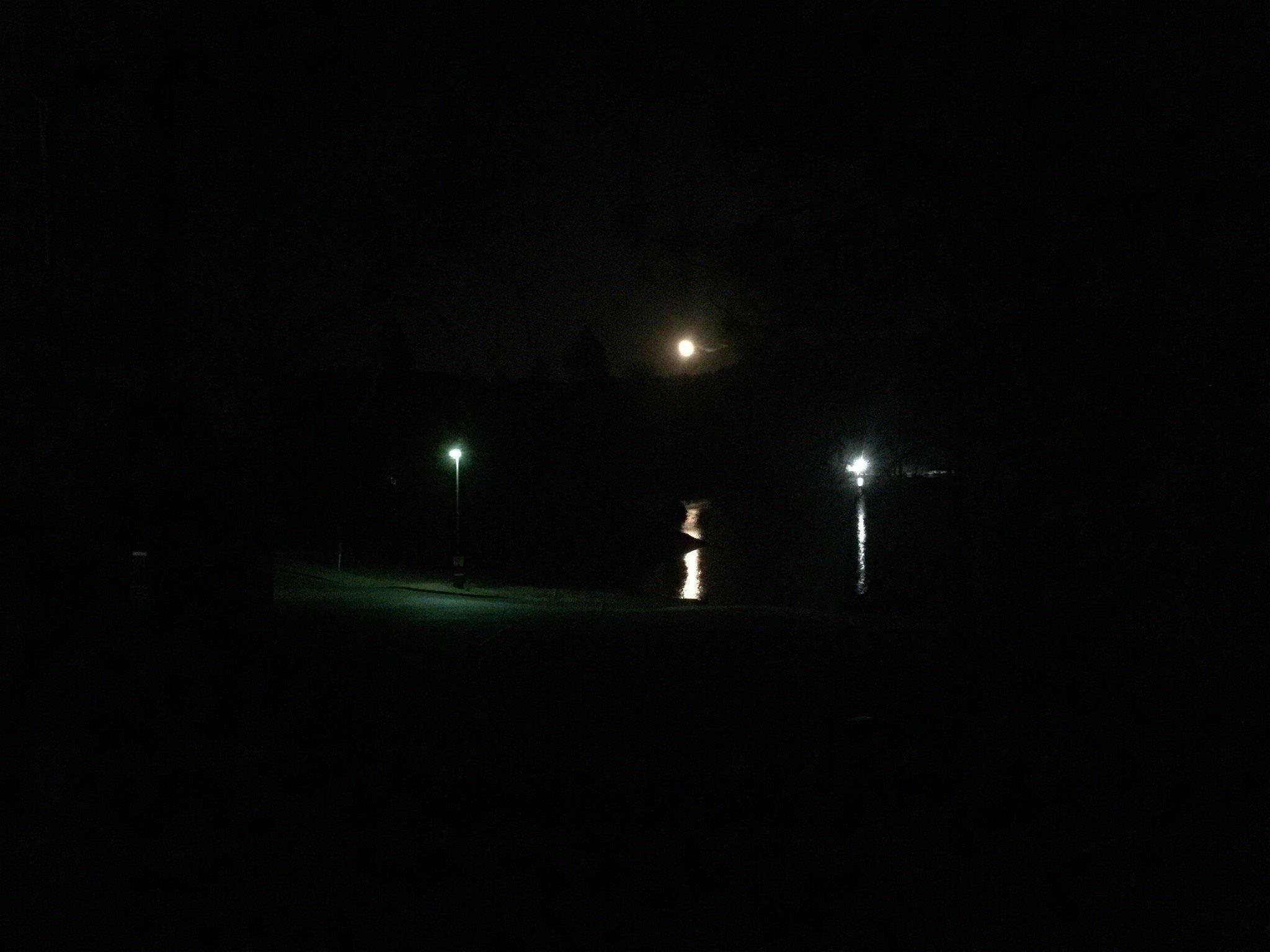 Photo by chickabeegrrl