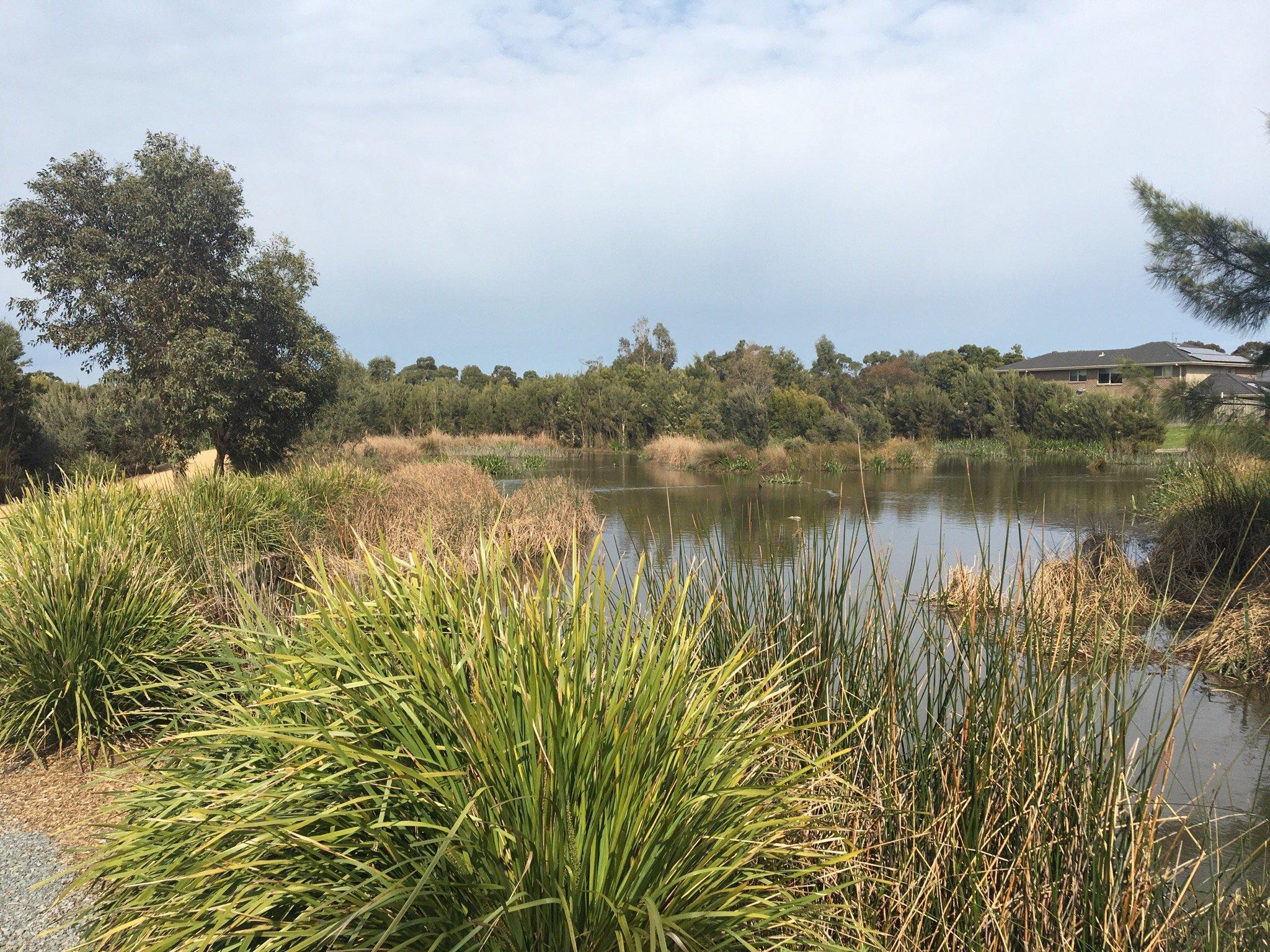 Botanic Ridge Wetlands