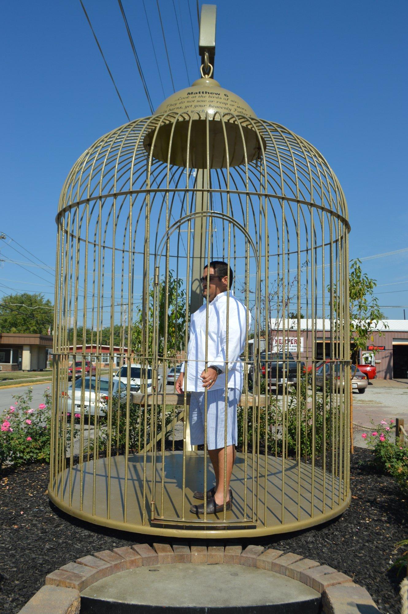 Giant Bird Cage