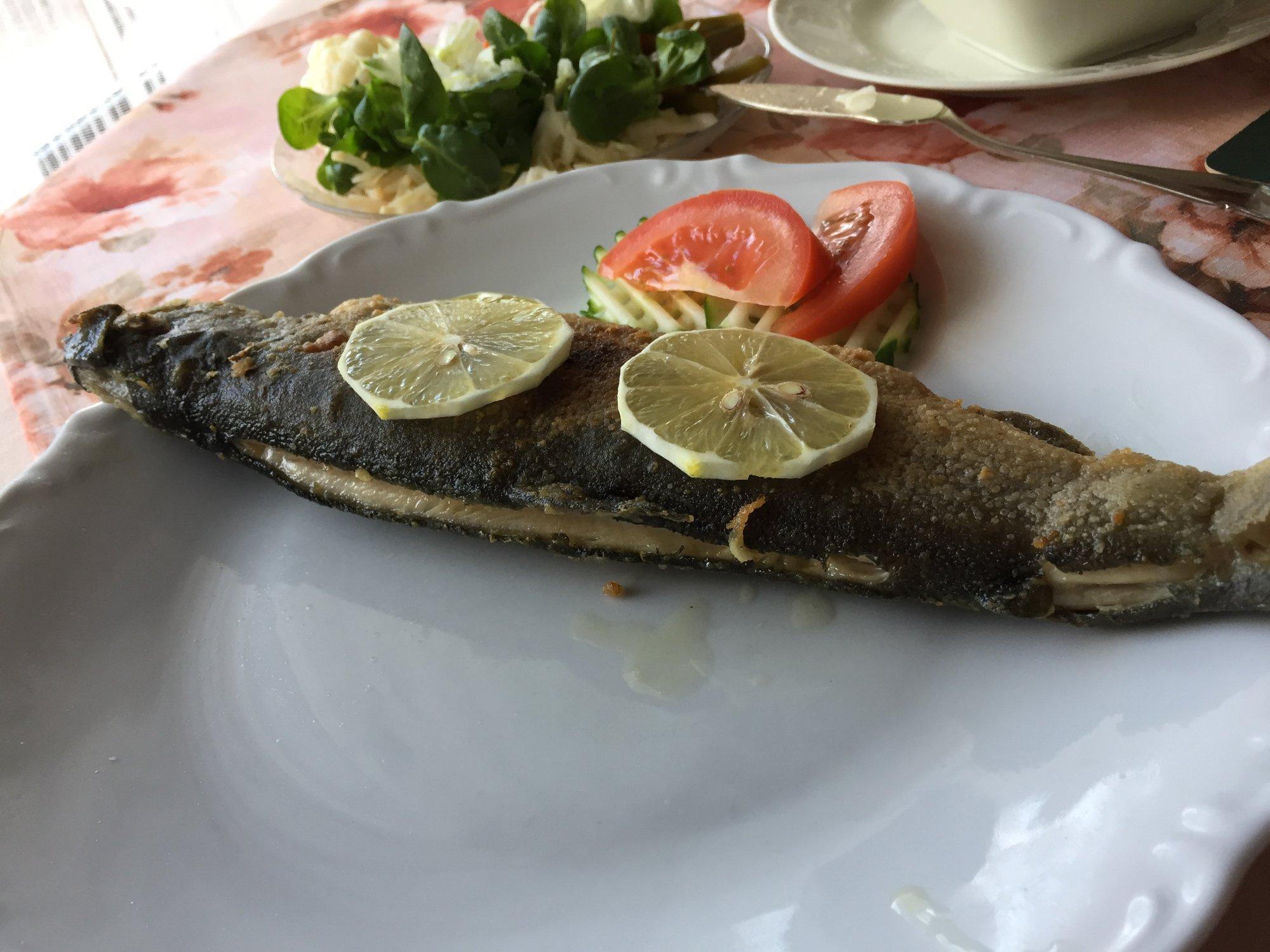 Waldpension Rabeneck Gasthof