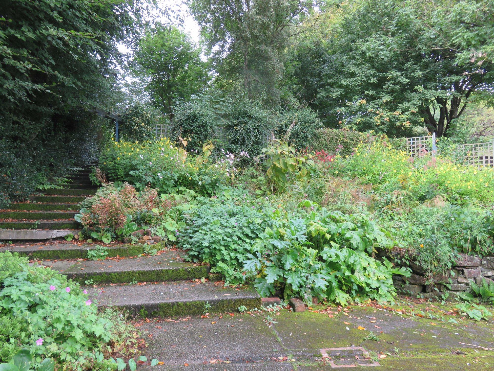 Culross Old School Yard Community Garden