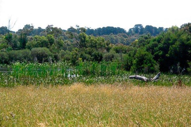 Balbirooroo Wetlands