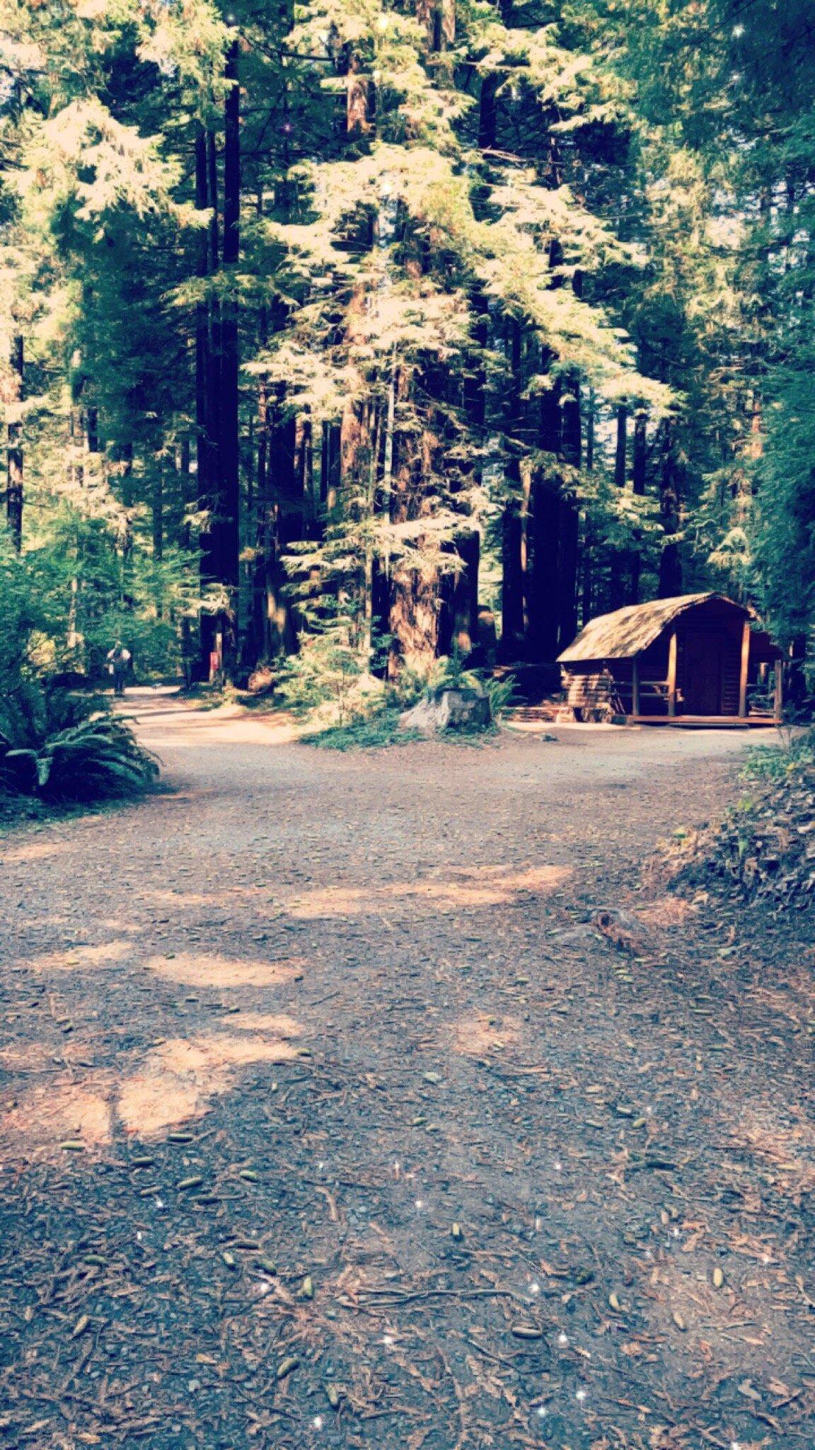 Photo by Christina S