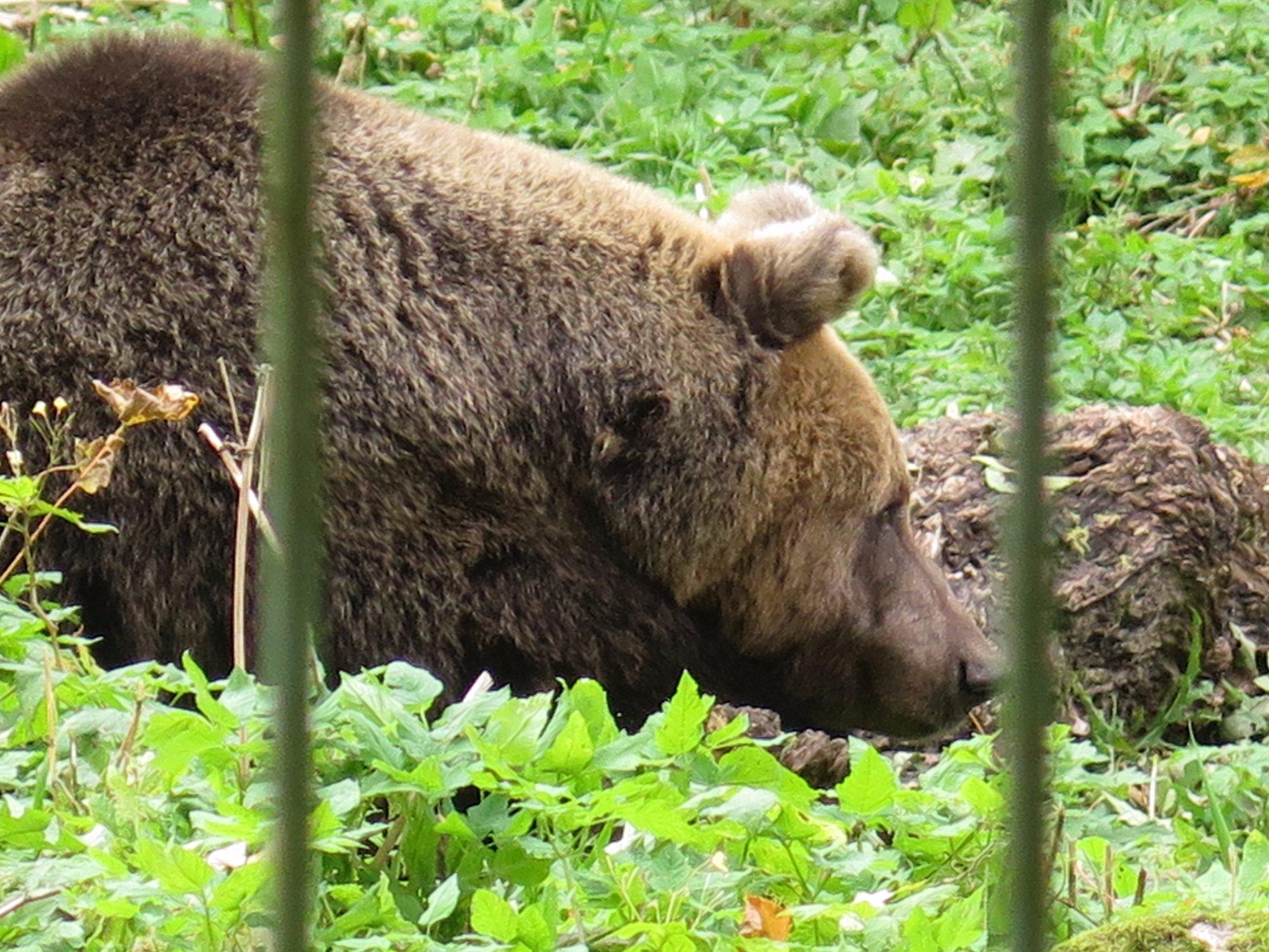 Elistvere Animal Park