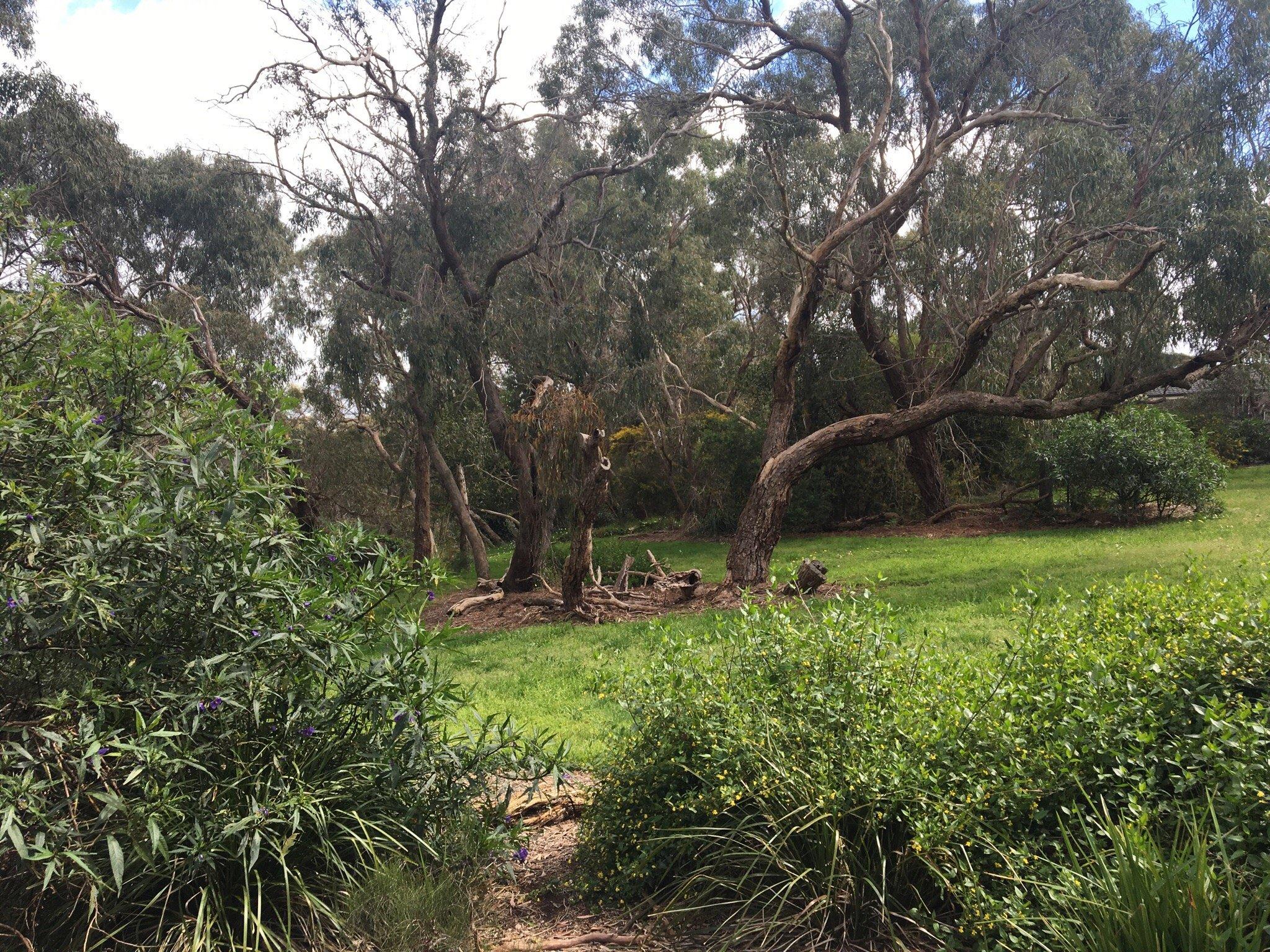 Upper Sweetwater Creek Reserve