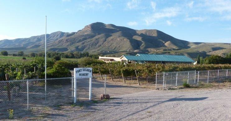 Fort Selden Winery