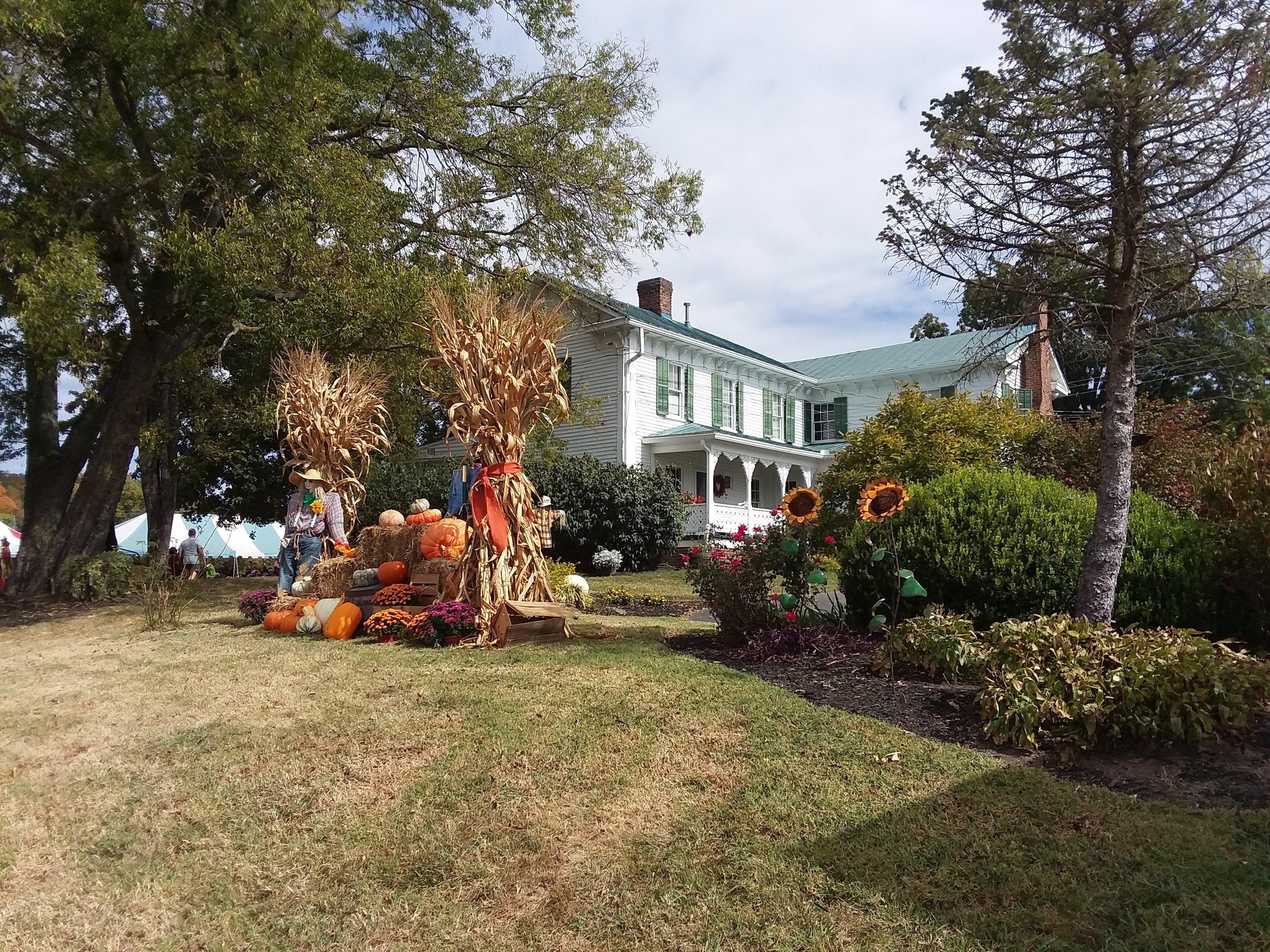 Robert A. Tino Gallery