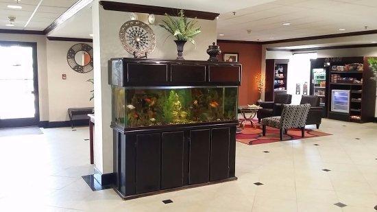 Shun Cheong Chinese Restaurant