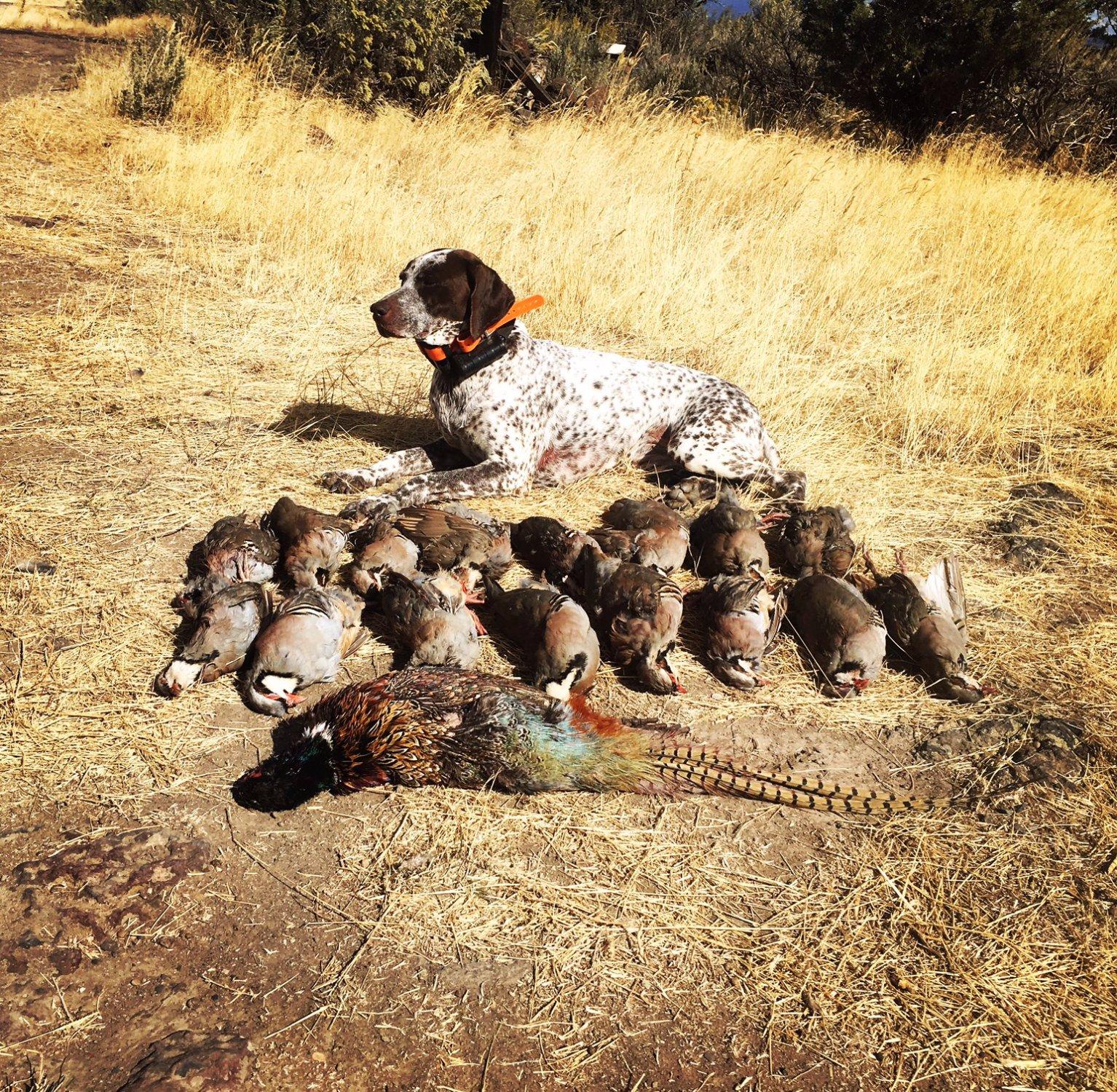 Gateway Canyon Preserve