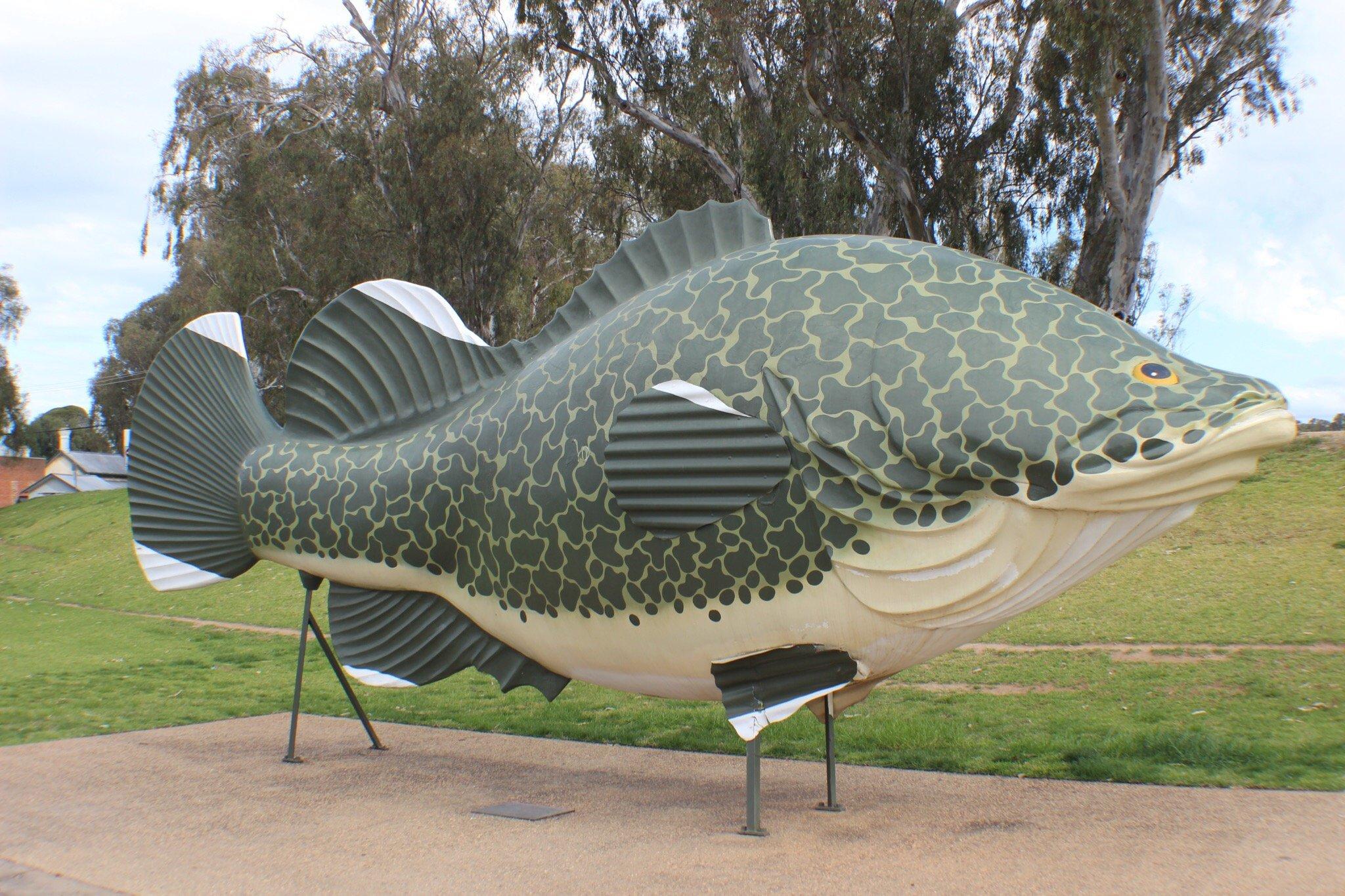 Tocumwal Sun Country