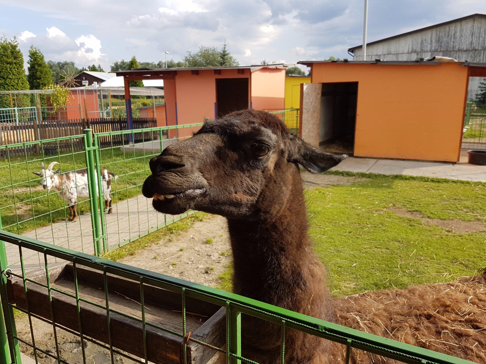 Dětský ranč Hlučín z.s.