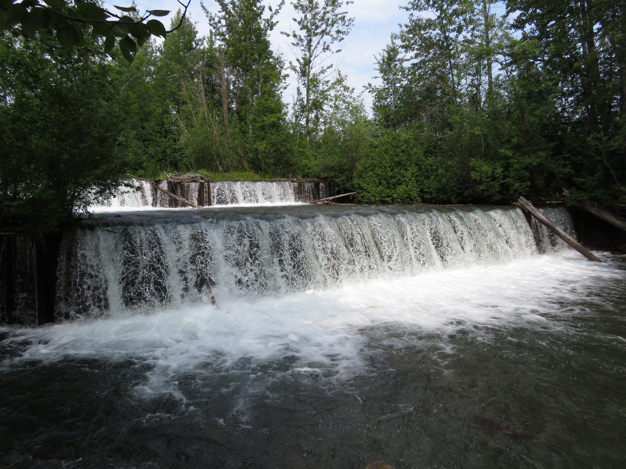 Elmendorf State Fish Hatchery