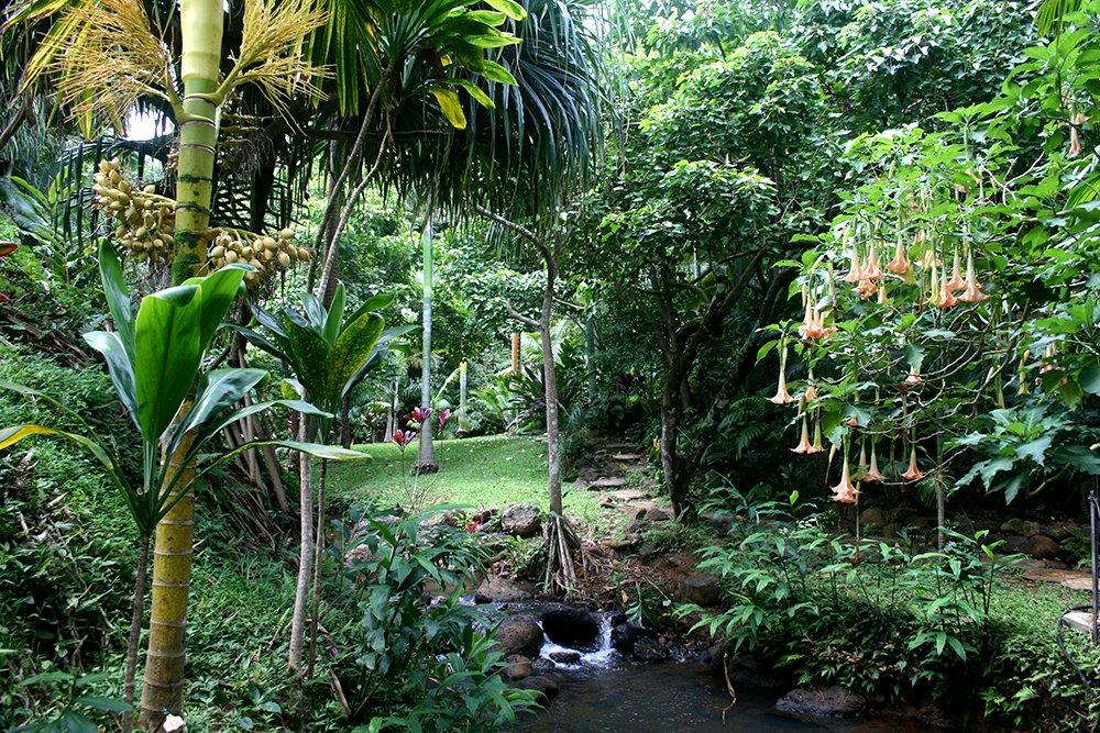 Princeville Botanical Gardens