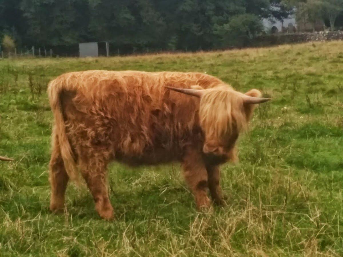 Highland Tours Inverness