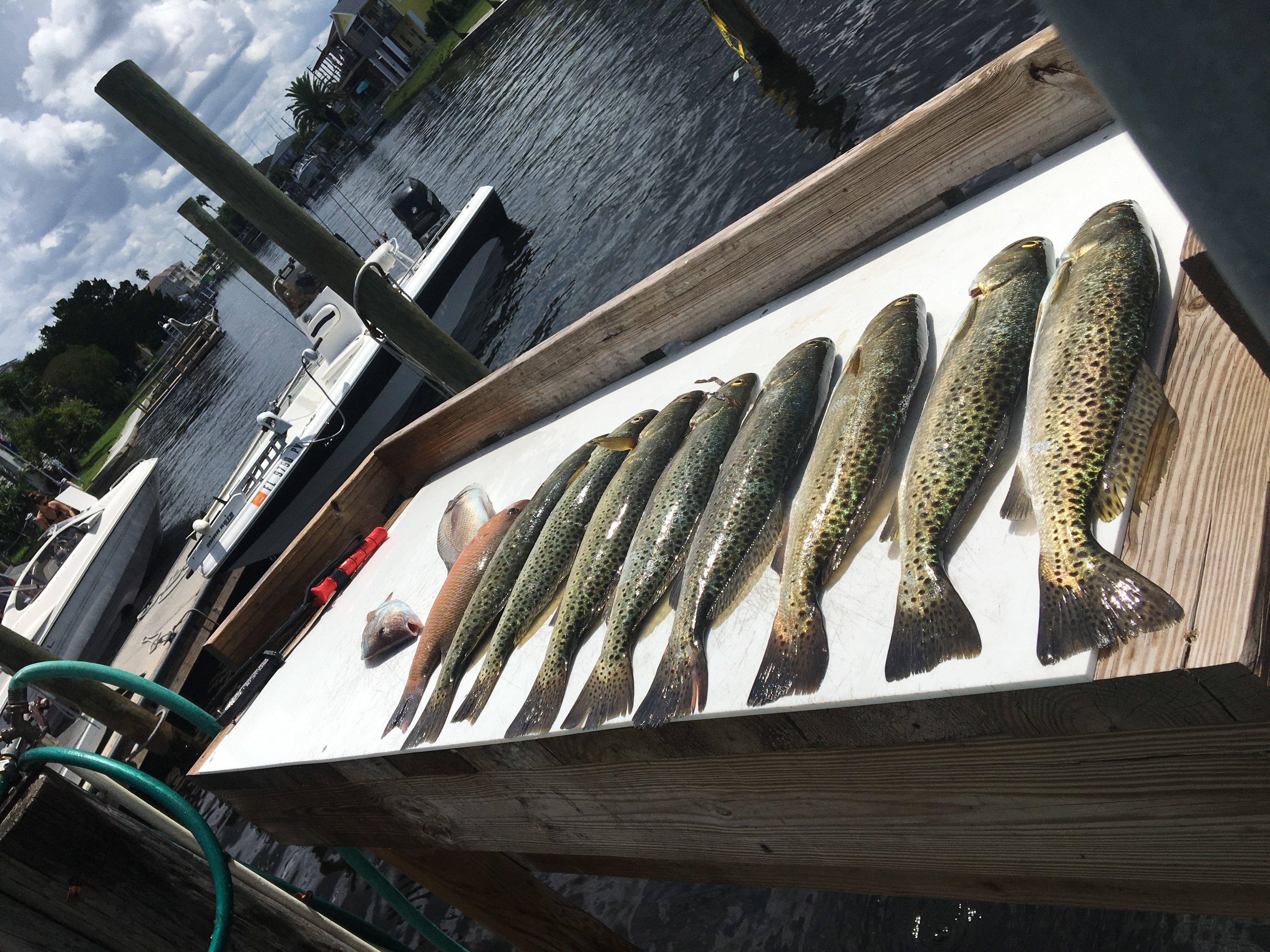 Nature Coast Inshore charters