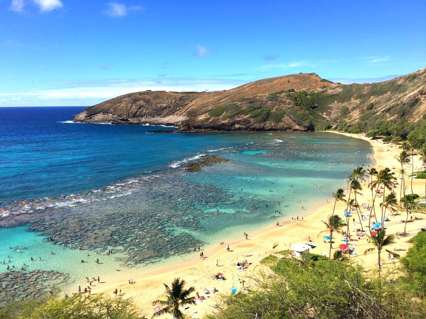 HOP - Hawaiian Ocean Promotions