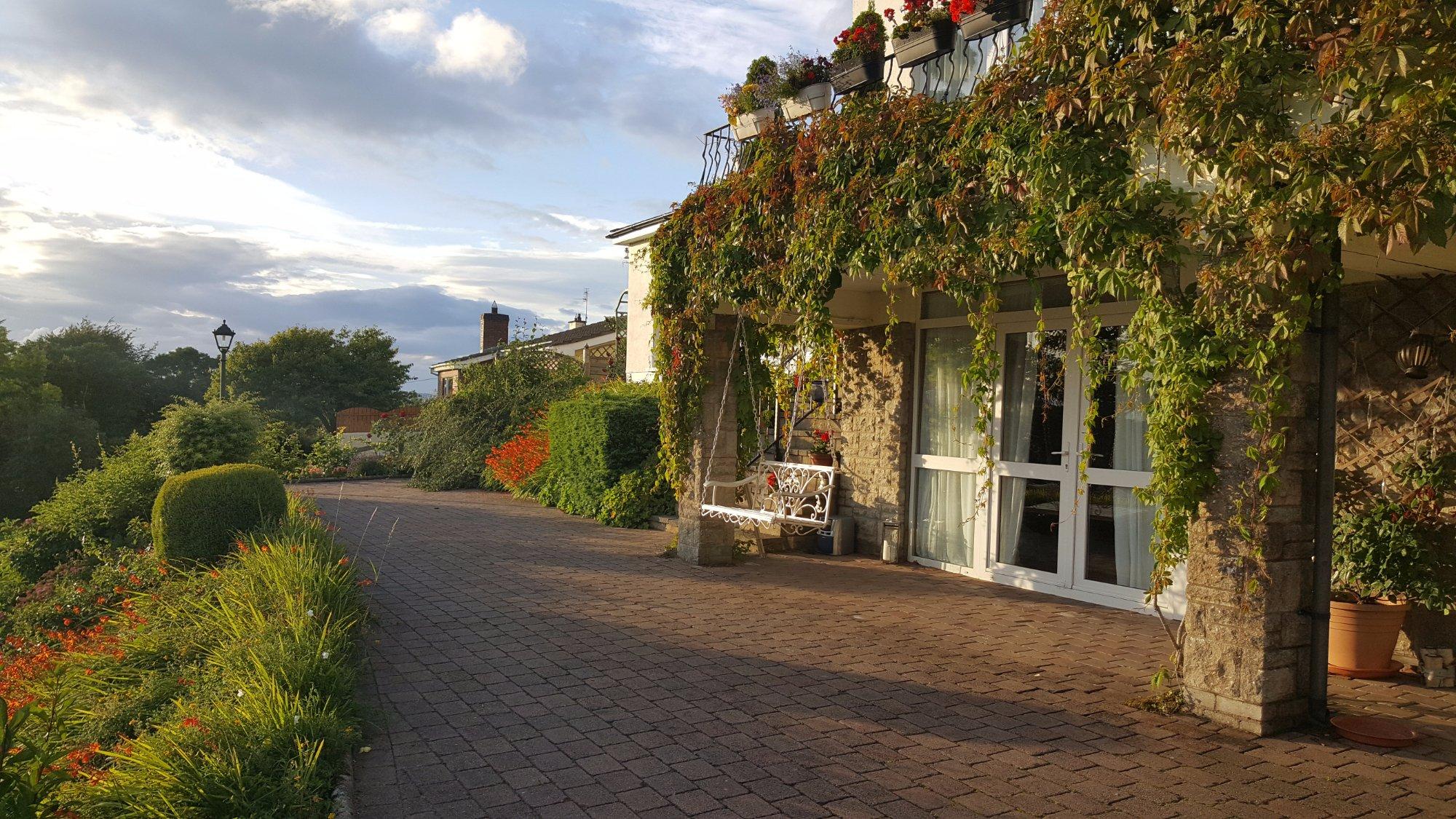 Clones-Greenjoy (Gluten Free) B&B